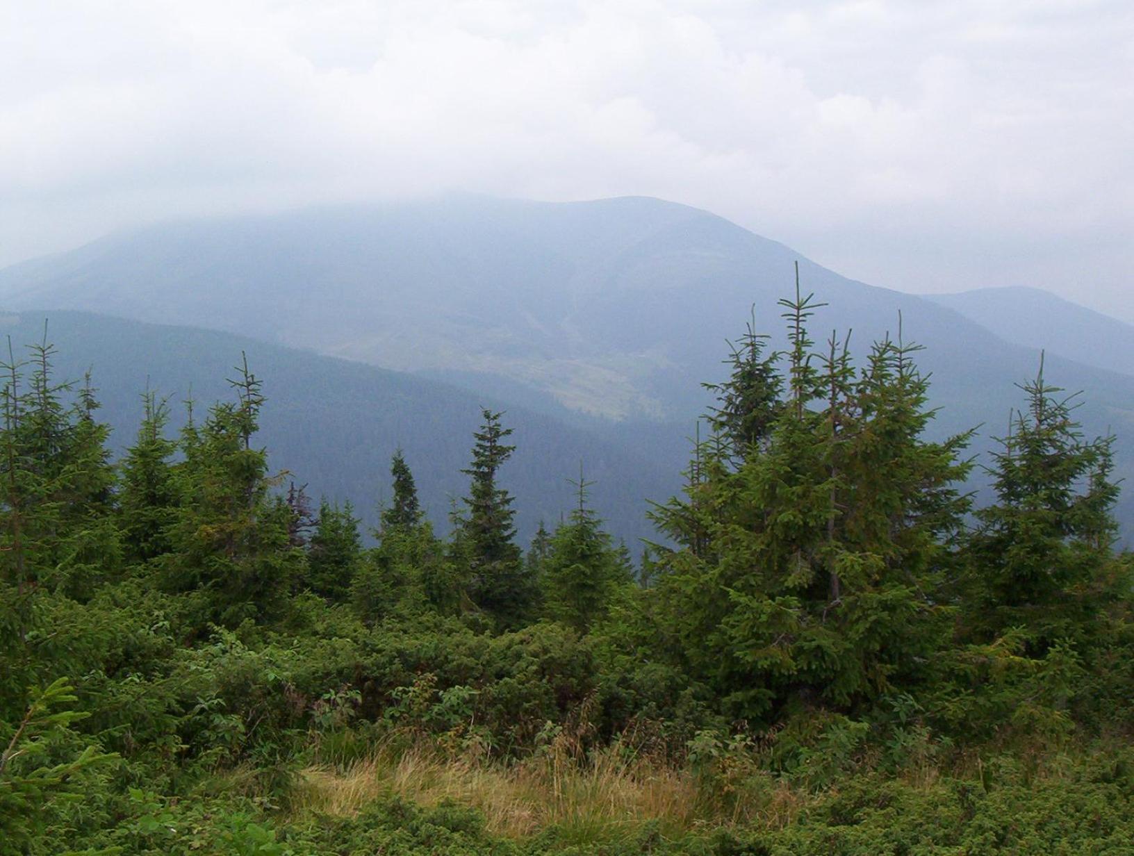 Аня Рома, photo 22
