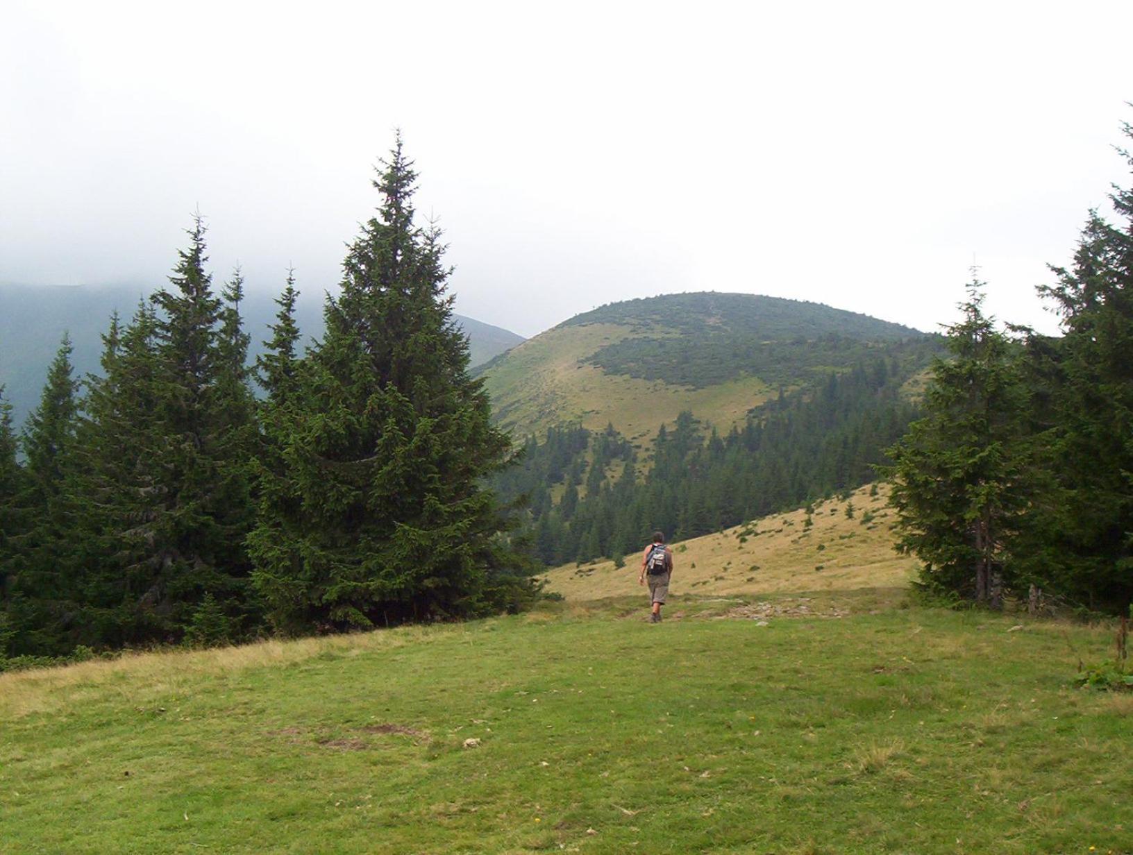 Аня Рома, photo 79