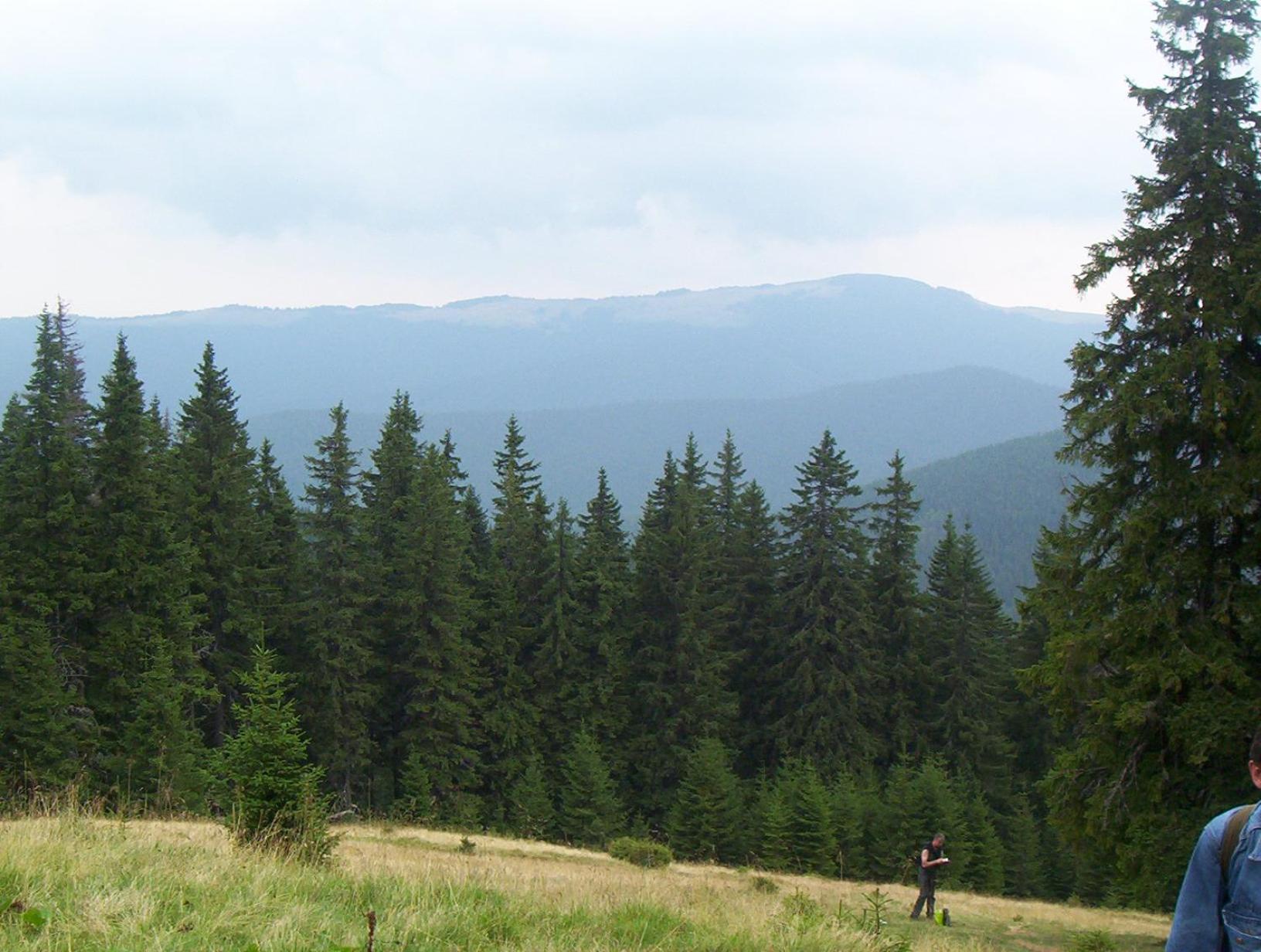 Аня Рома, photo 34