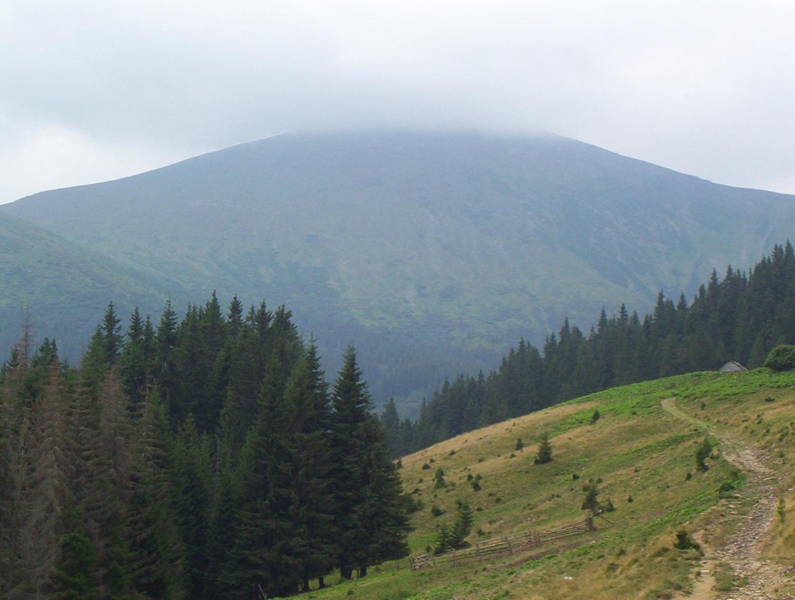 Аня Рома, photo 31