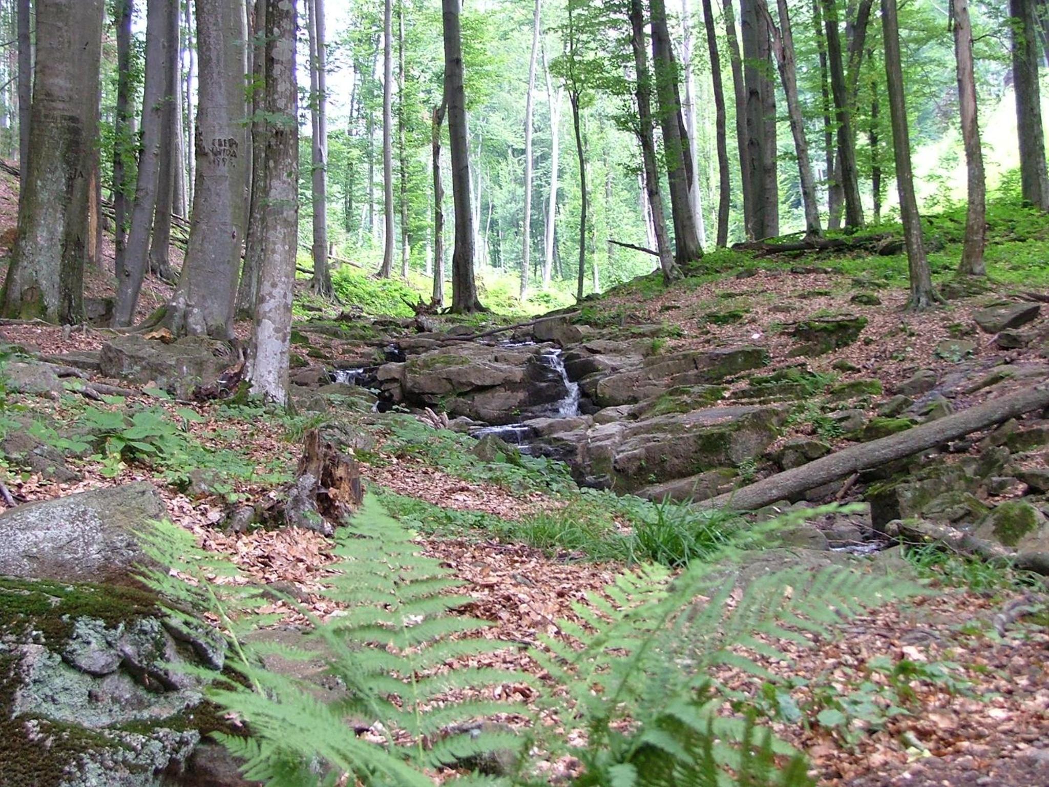 Аня Рома, photo 77
