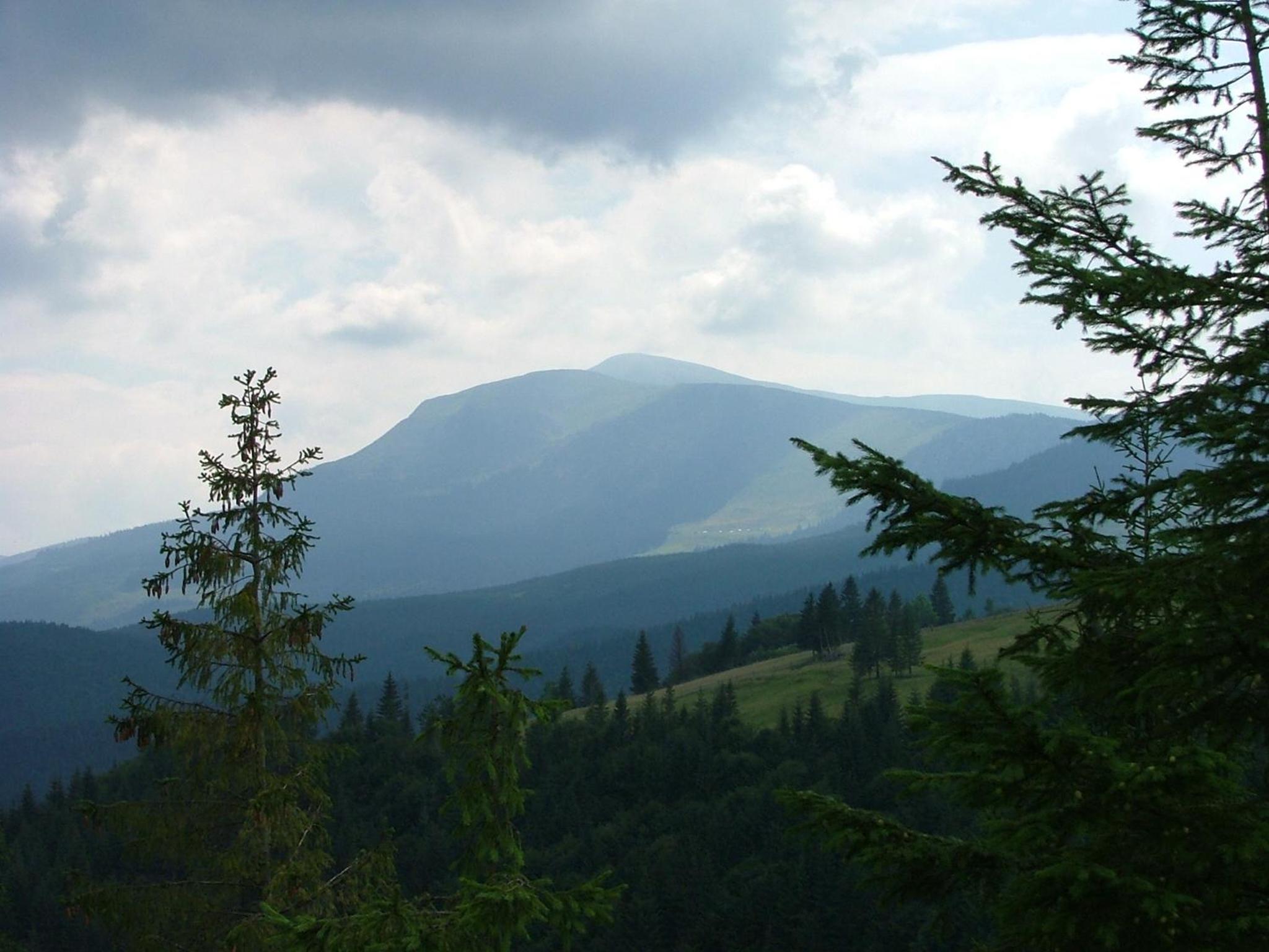 Аня Рома, photo 29
