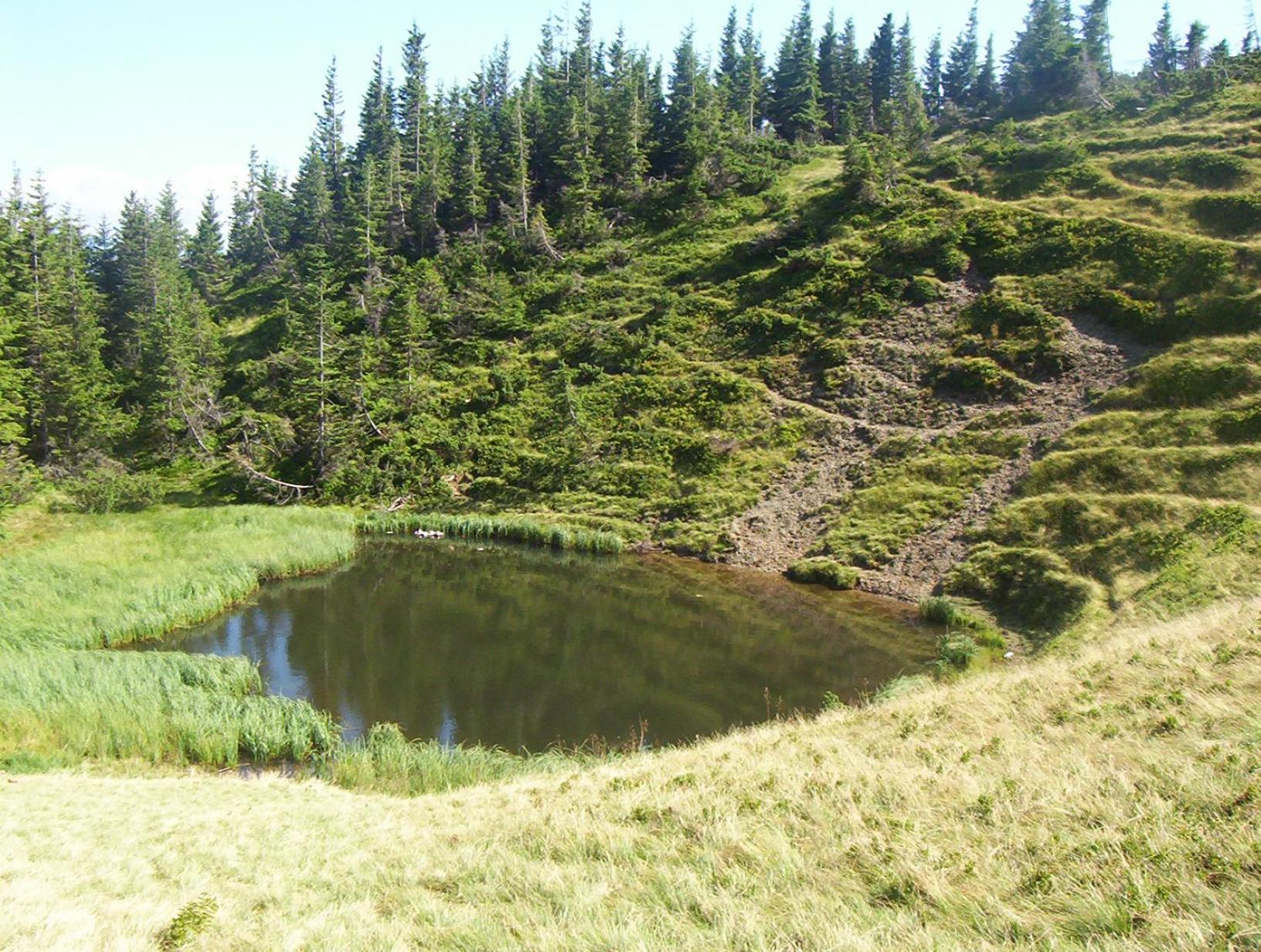 Аня Рома, photo 124