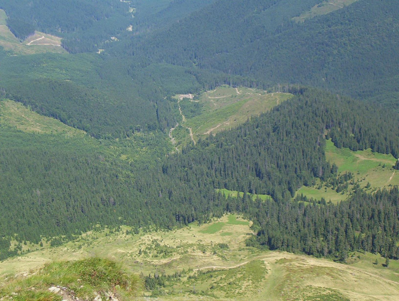 Аня Рома, photo 14