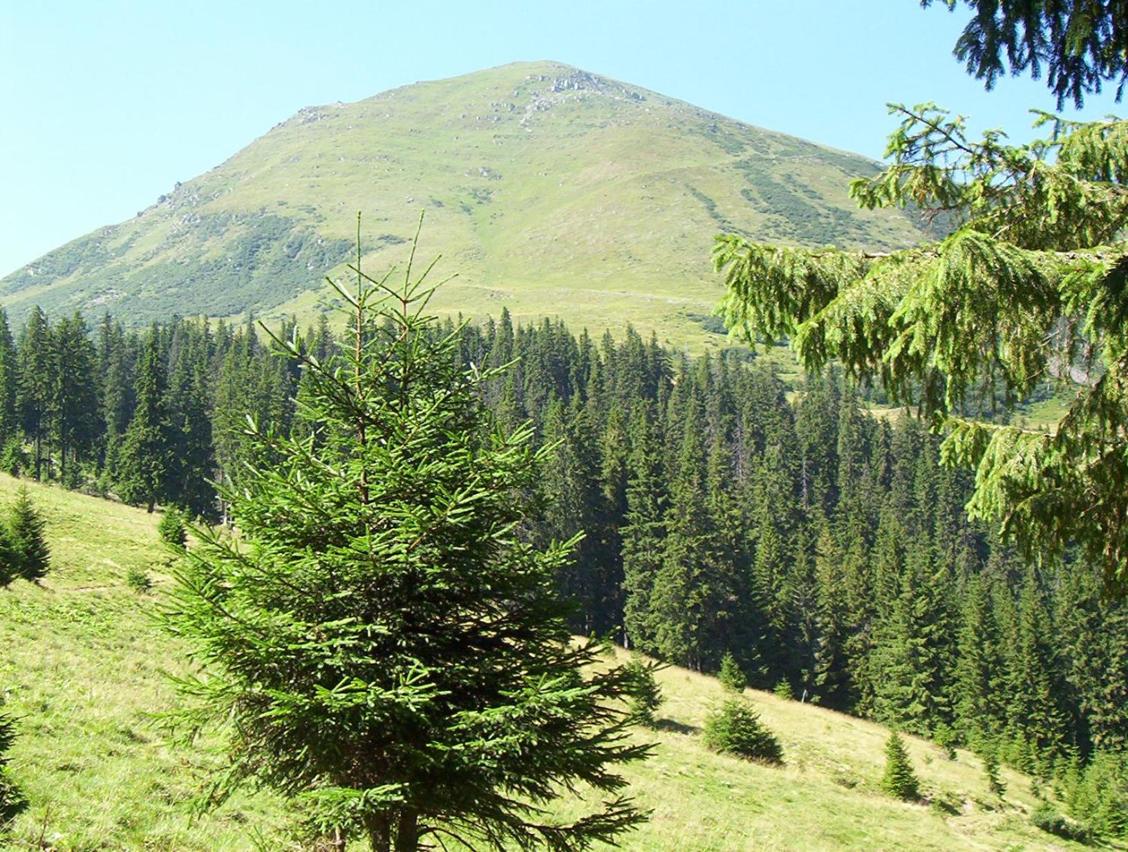 Аня Рома, photo 57