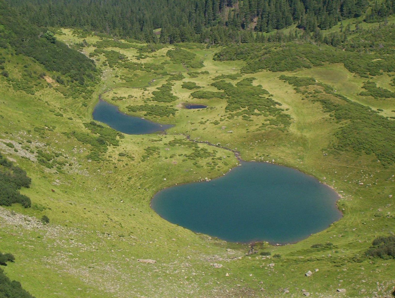 Аня Рома, photo 41