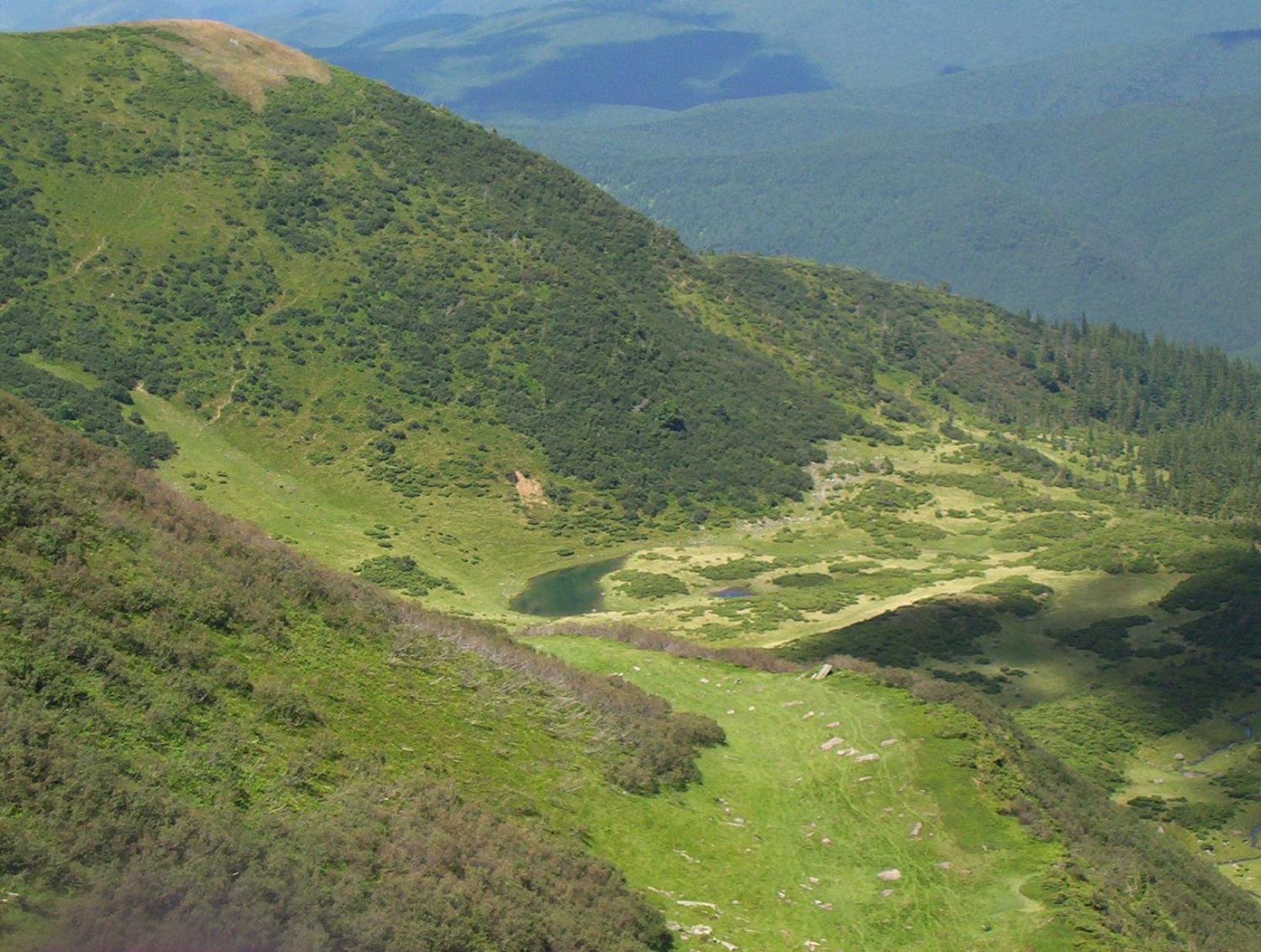 Аня Рома, photo 11