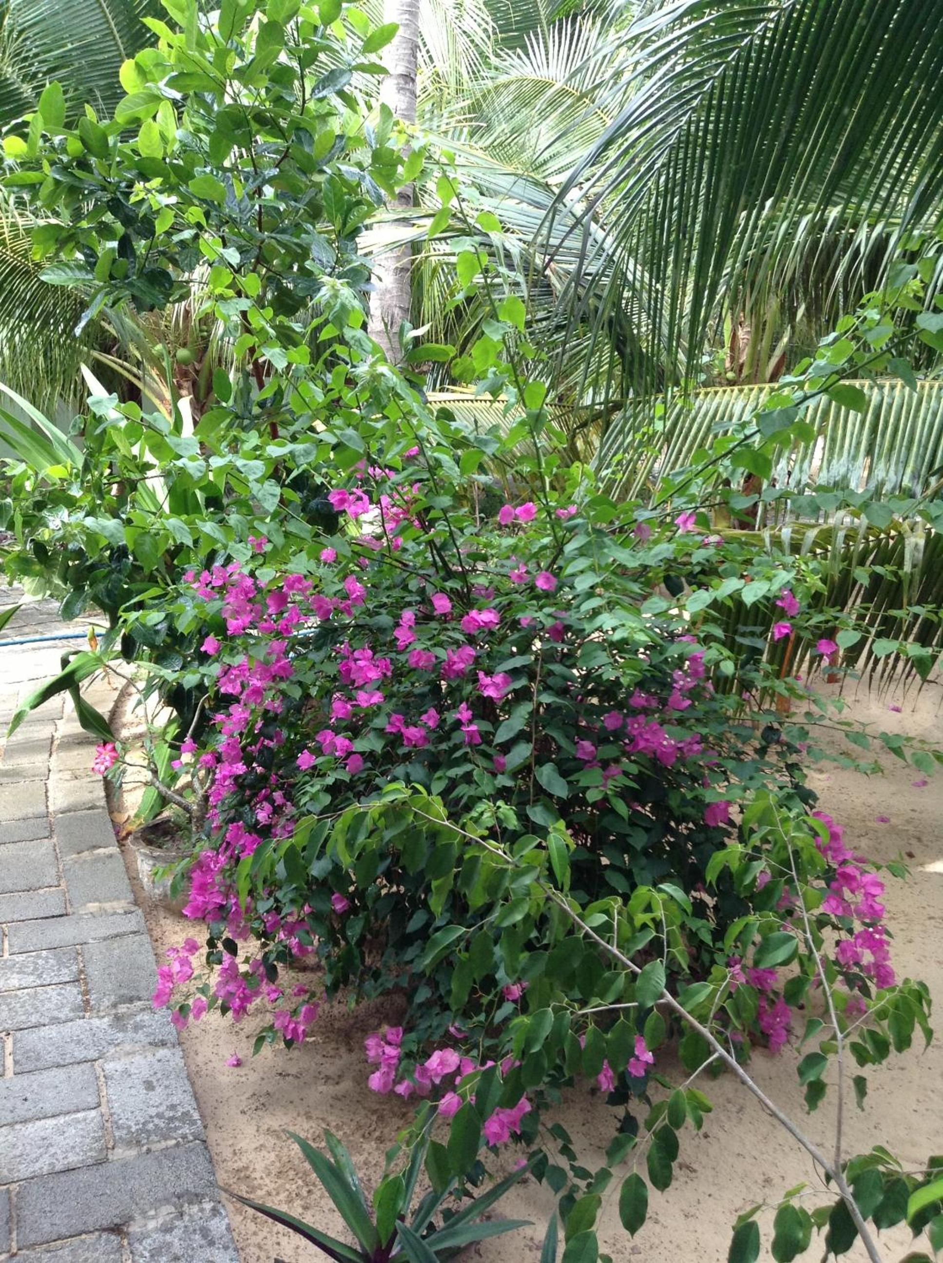 Cocosand Hotel