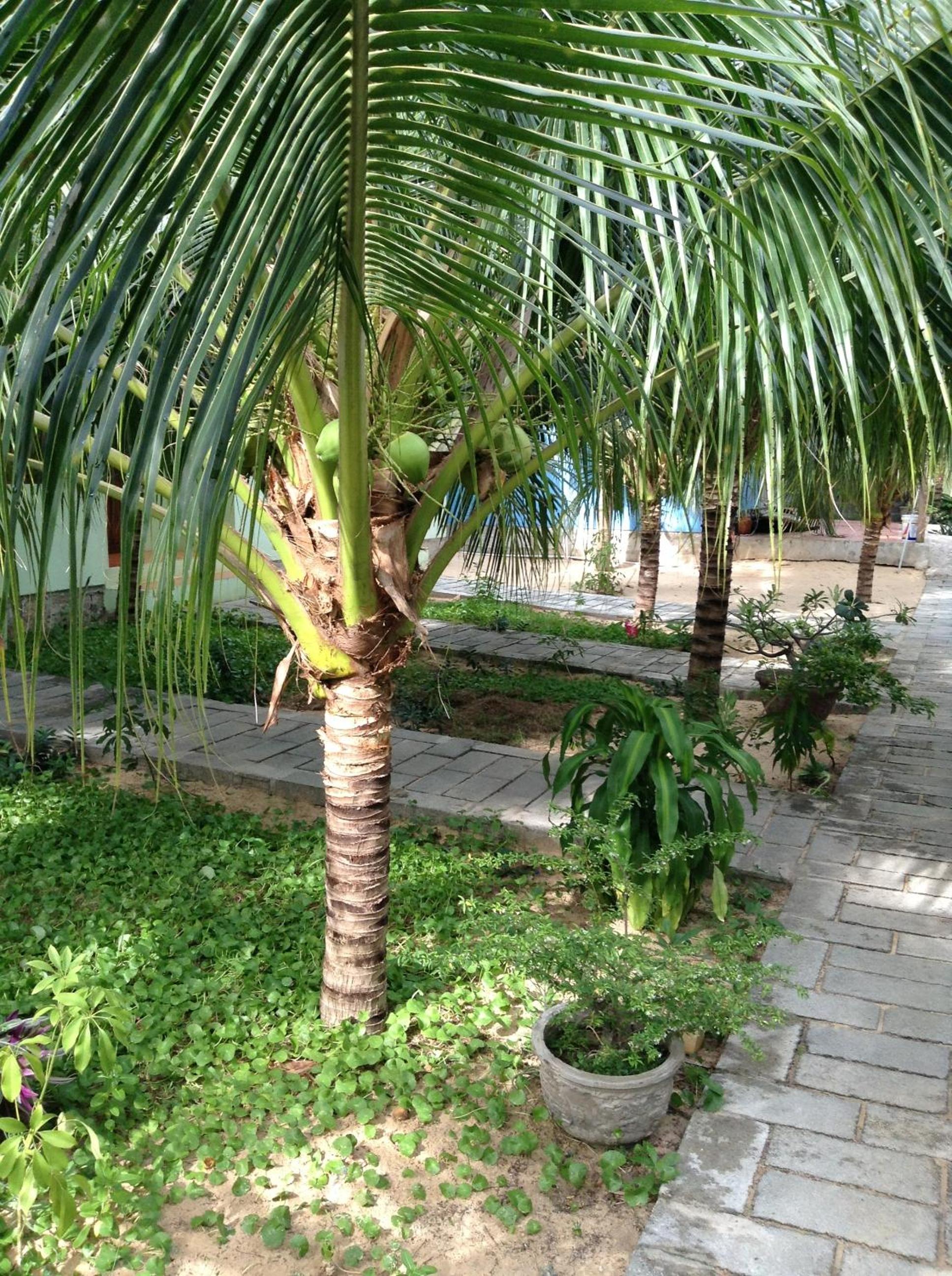 Cocosand Hotel