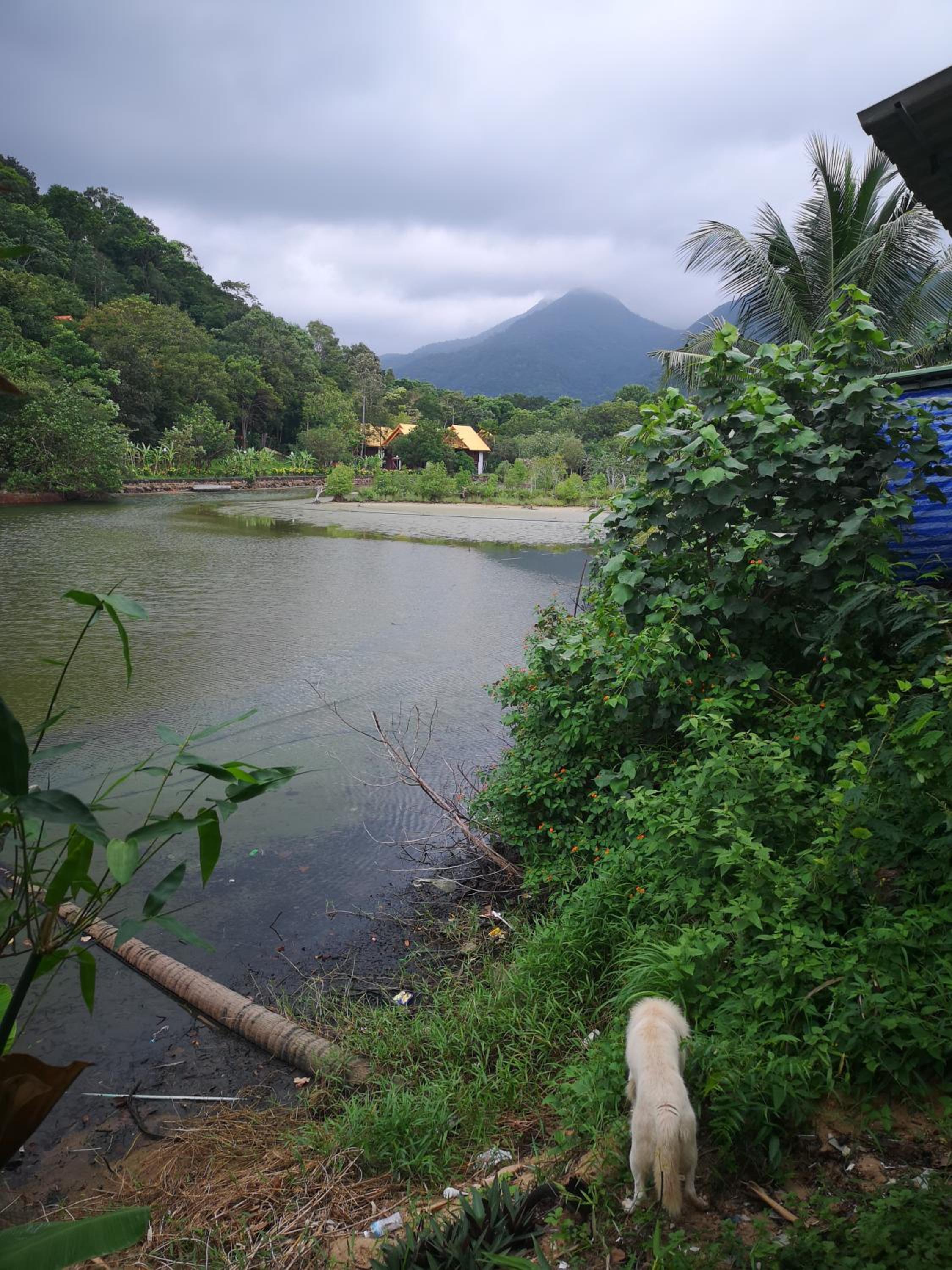 Photo 46