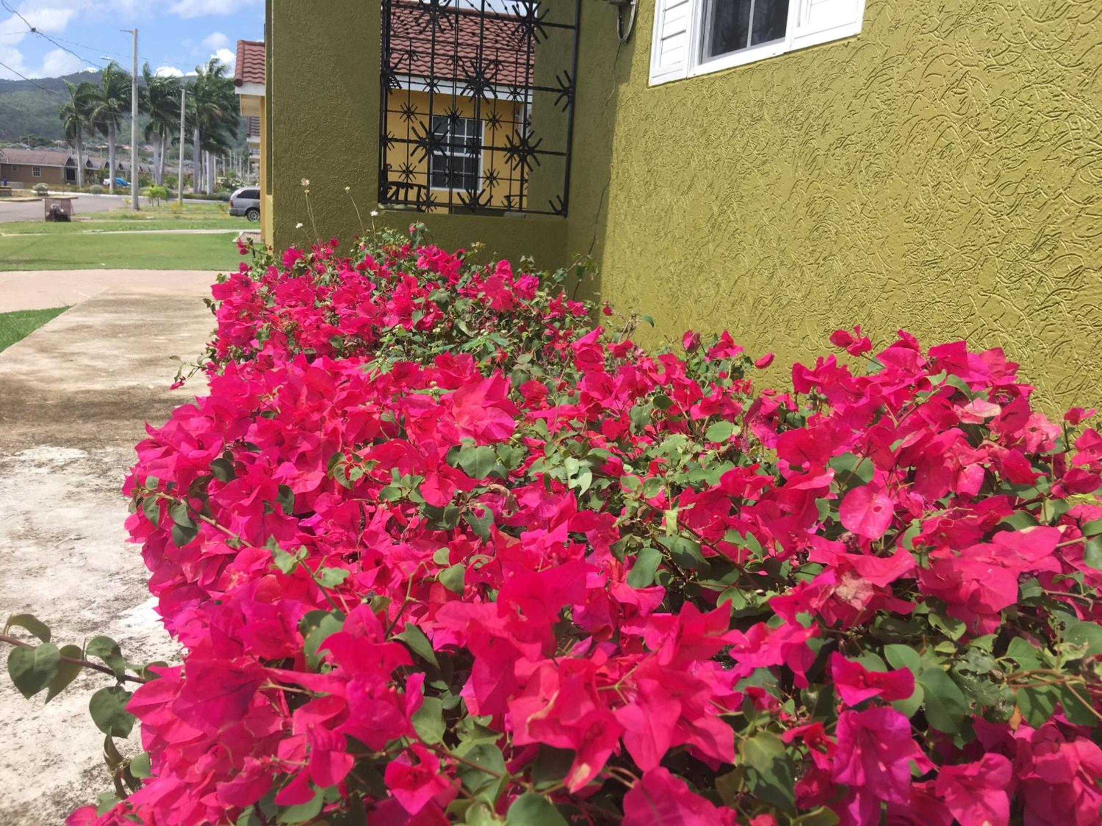 Drax Hall Country Club's Sweet Escape