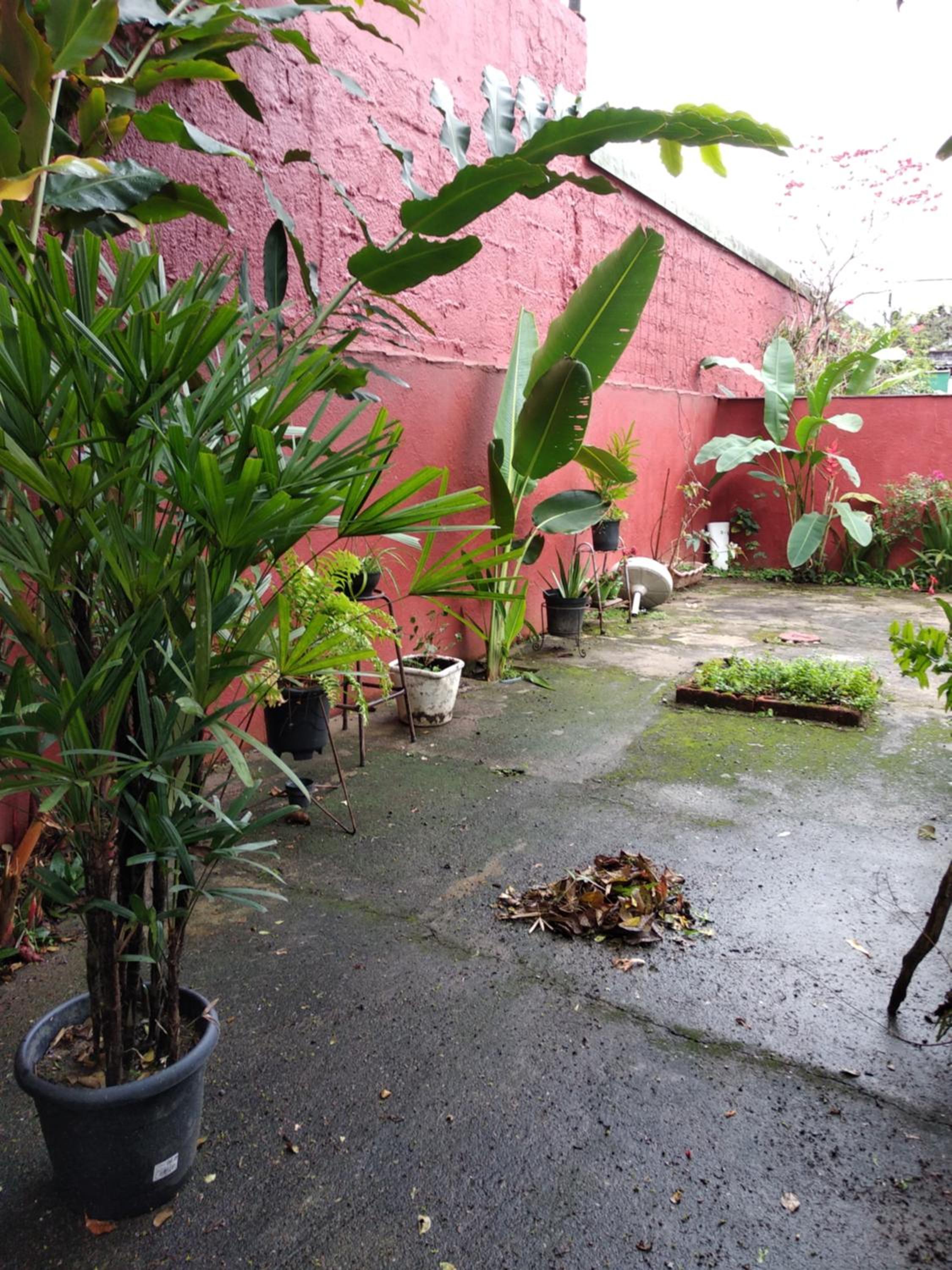 Casas em Ubatuba