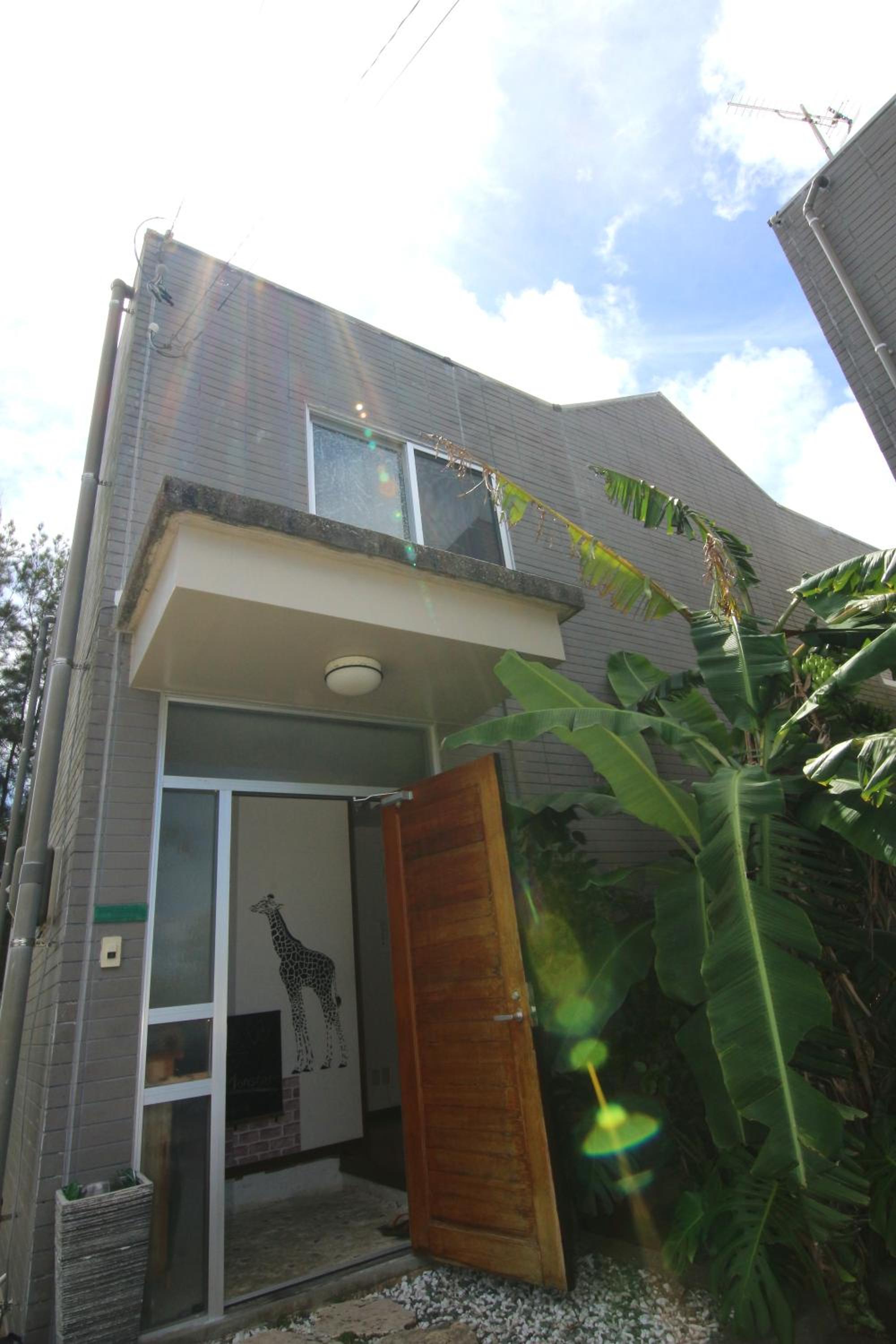 Monstera view 2