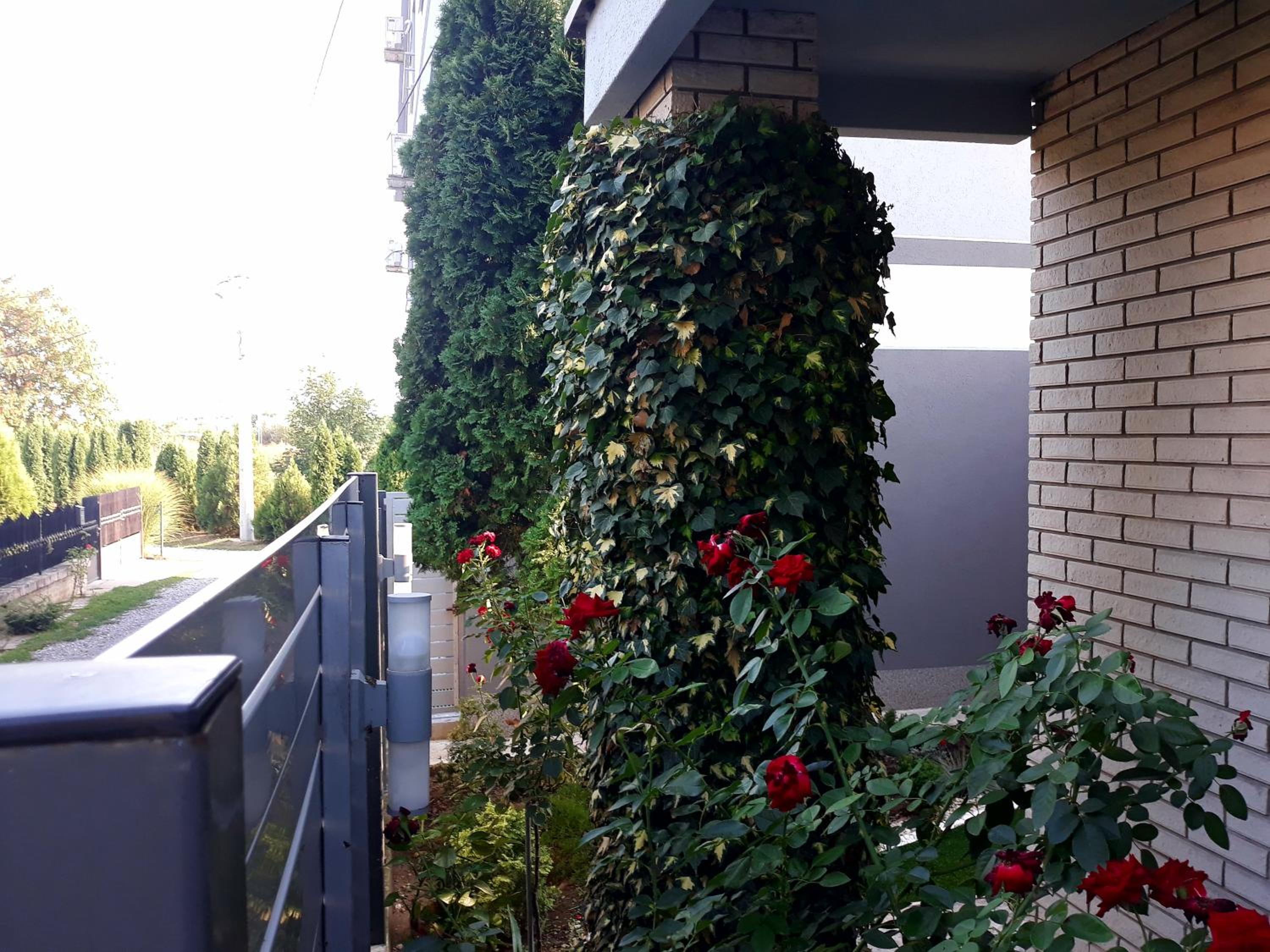 Apartments Popovic view 4
