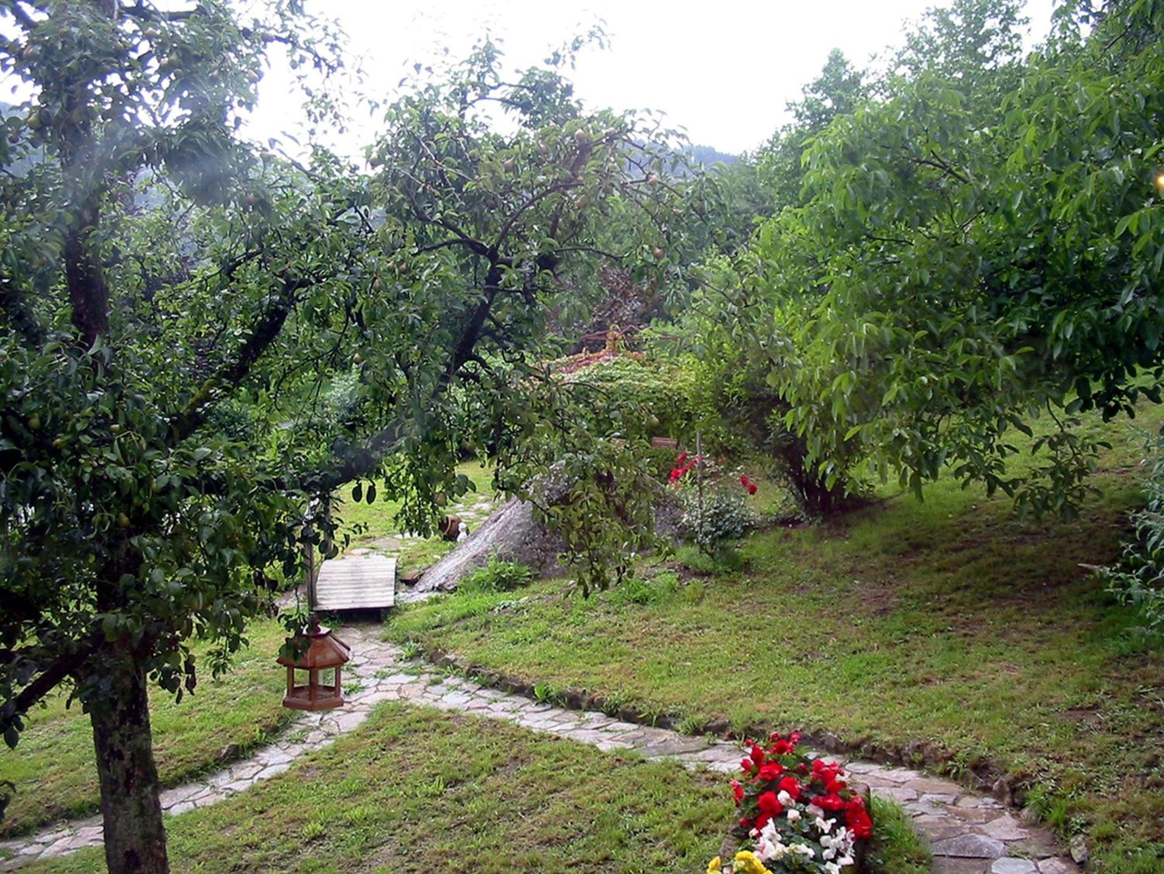 Photo 46