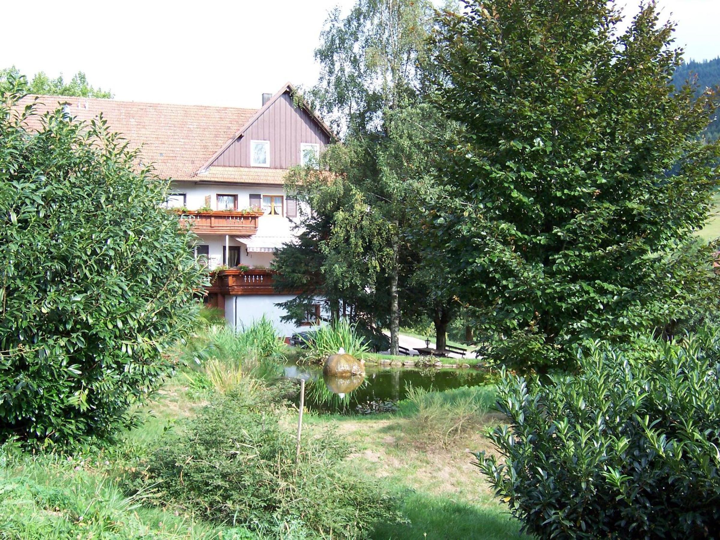 Photo 33
