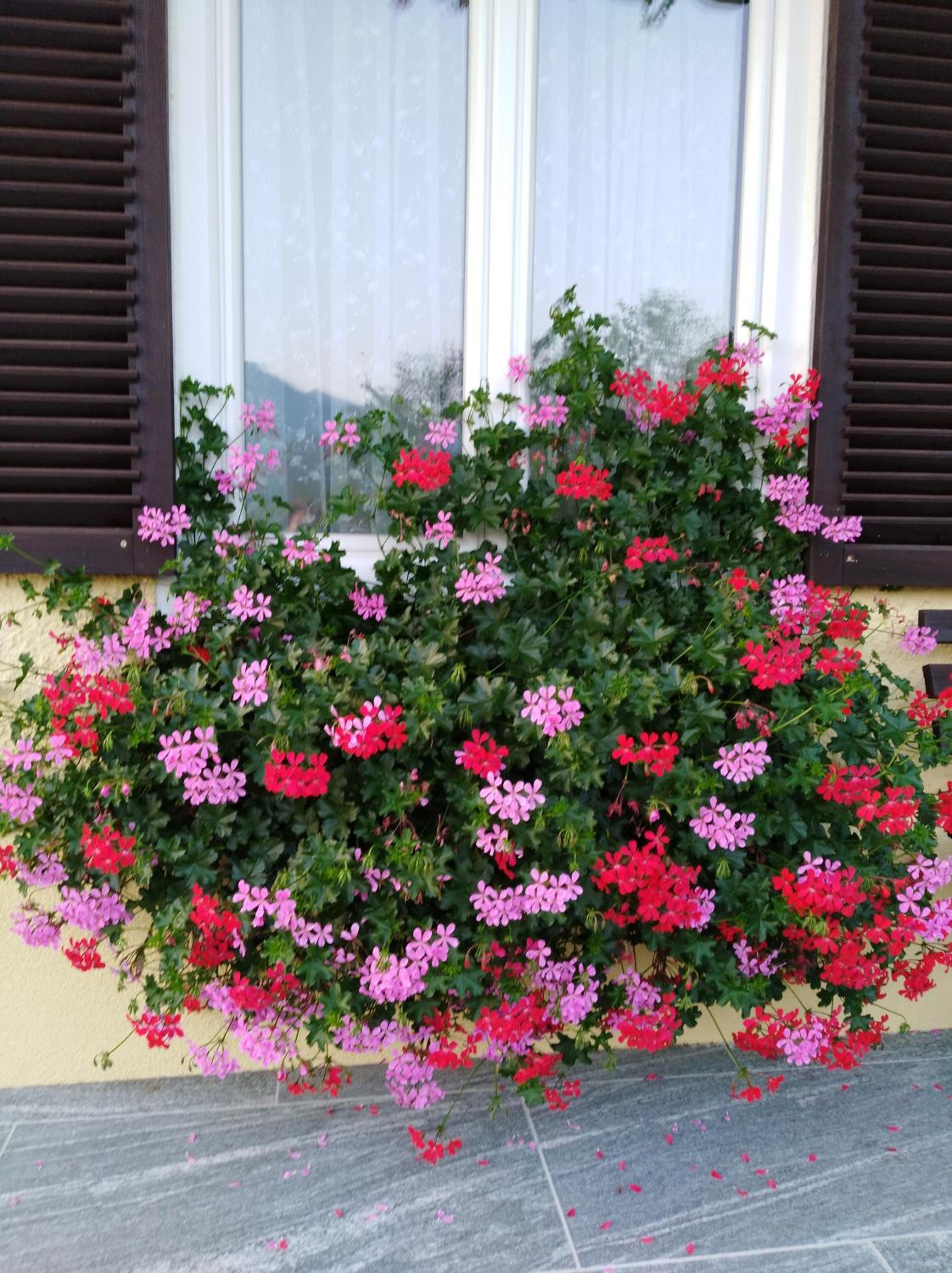 Haus Amalia