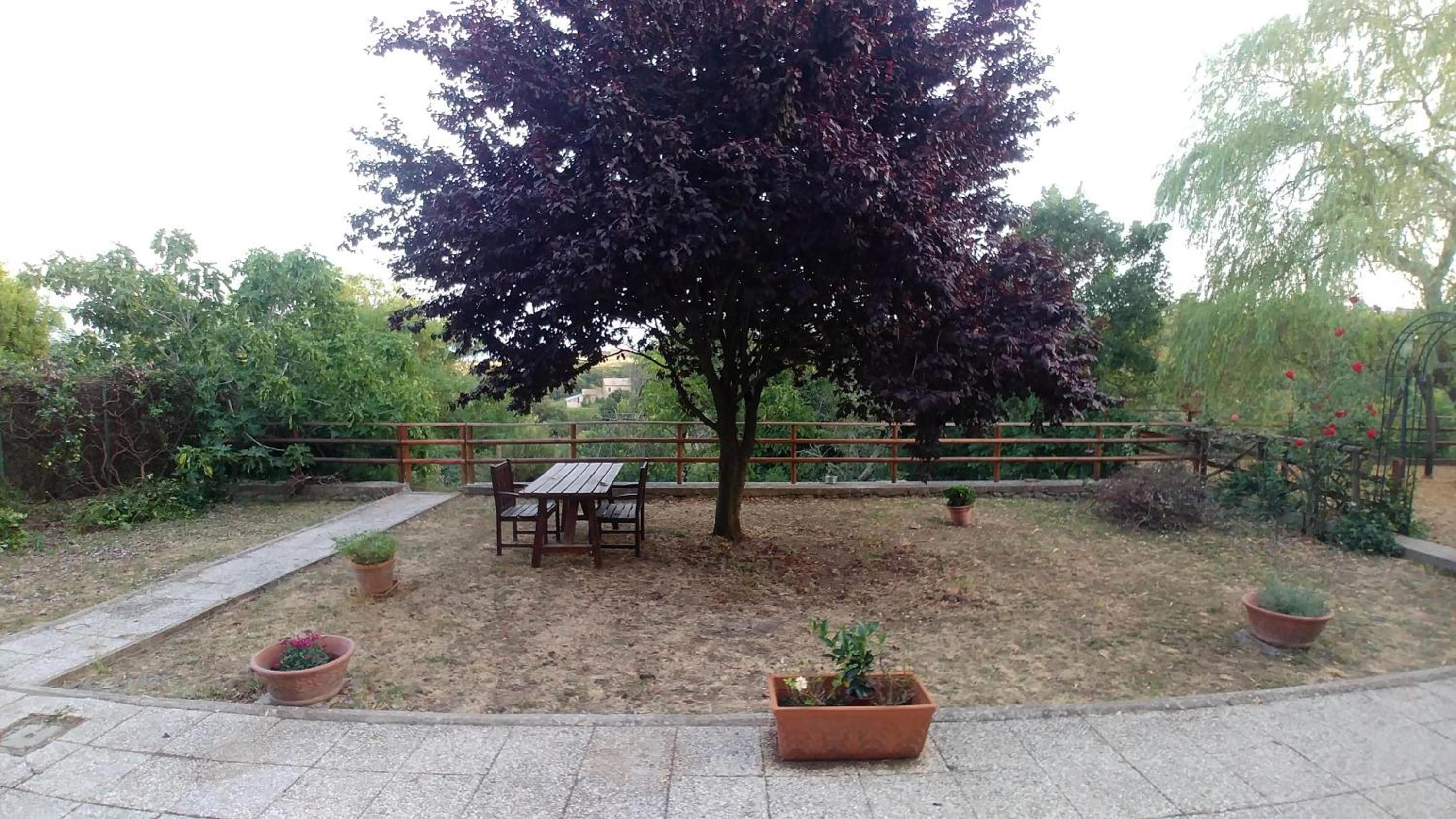 B&B Paternocchio photo 5