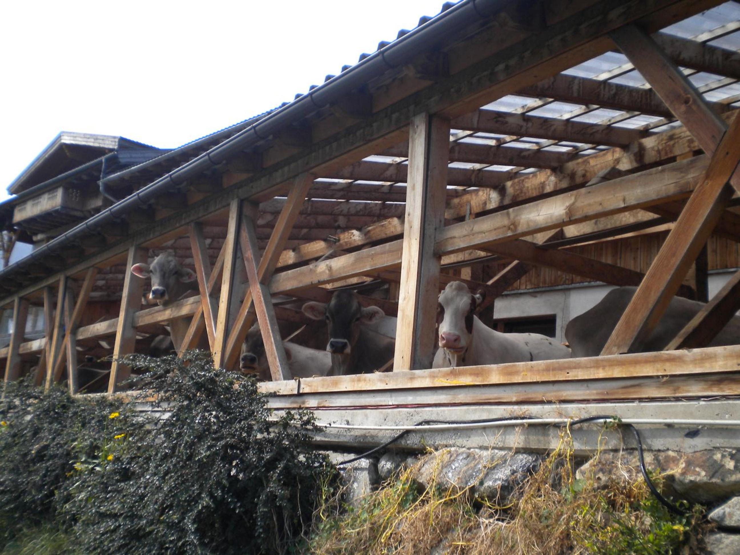 Weberhof