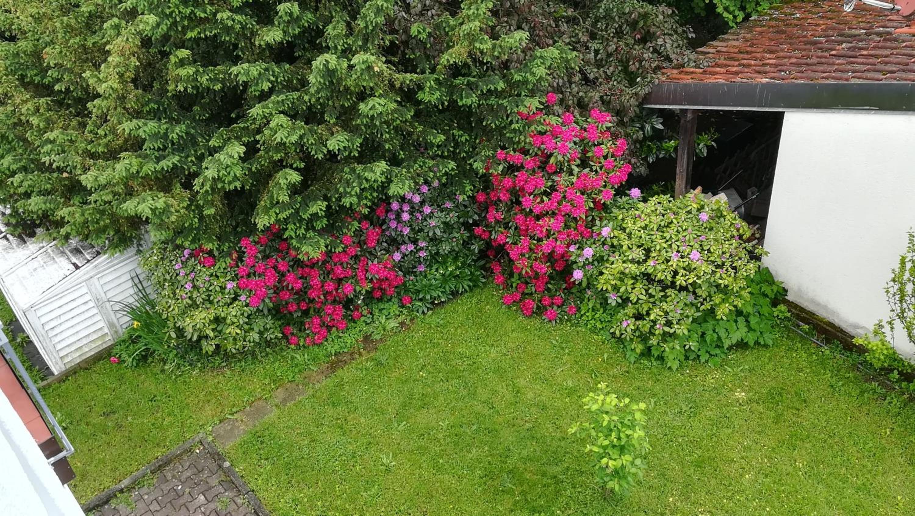 Ferienwohnungen Haus Christine view 5