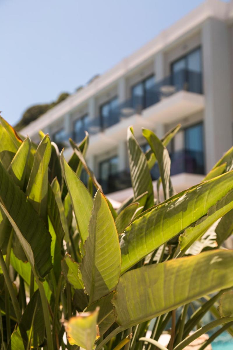 Hotel Samian Mare Hotel Suites & Spa