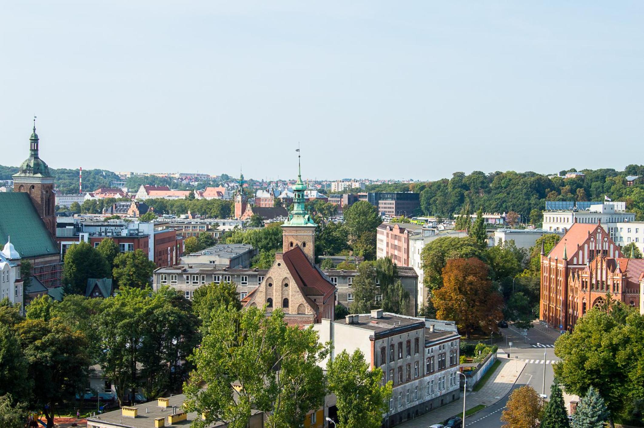 Photo 41