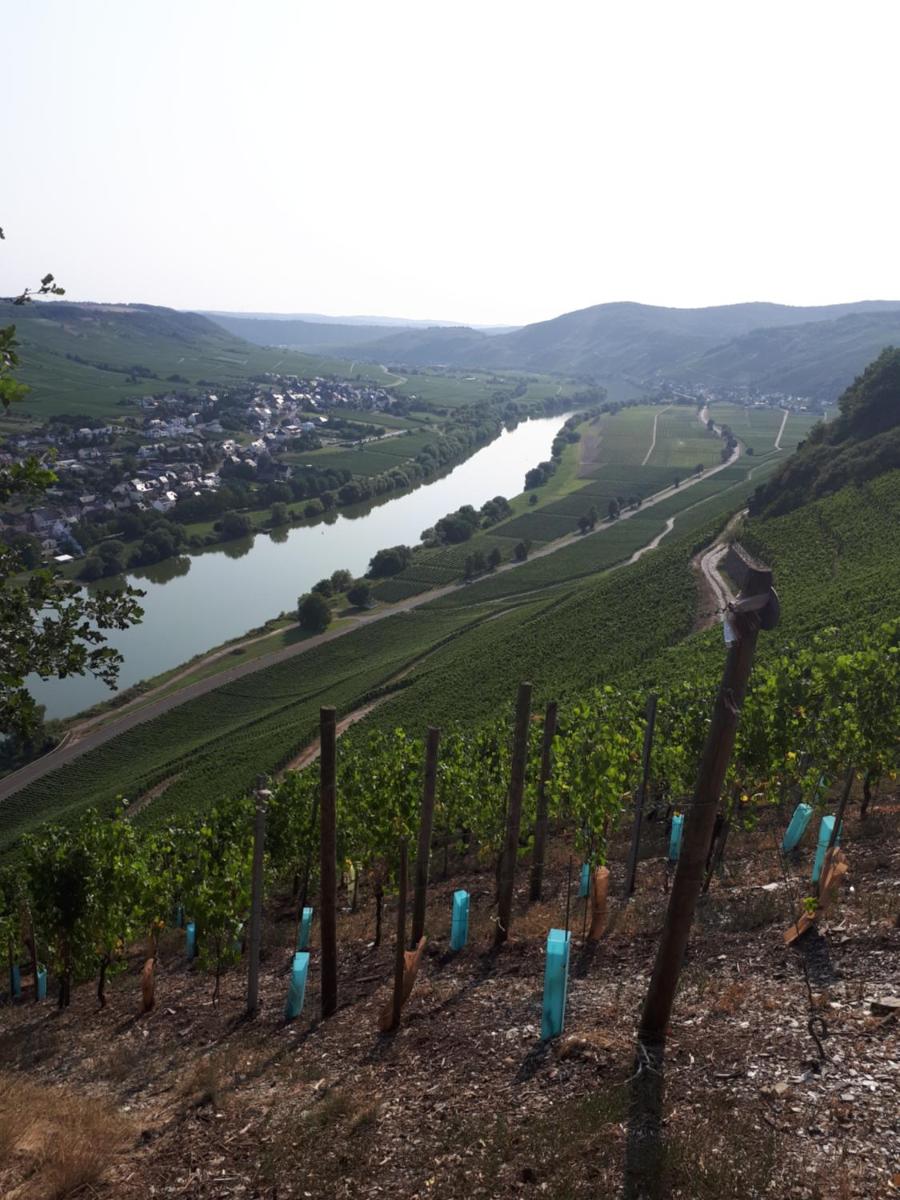Gaestehaus Jufferpanorama
