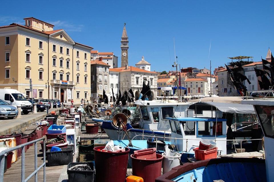 Blue Piran