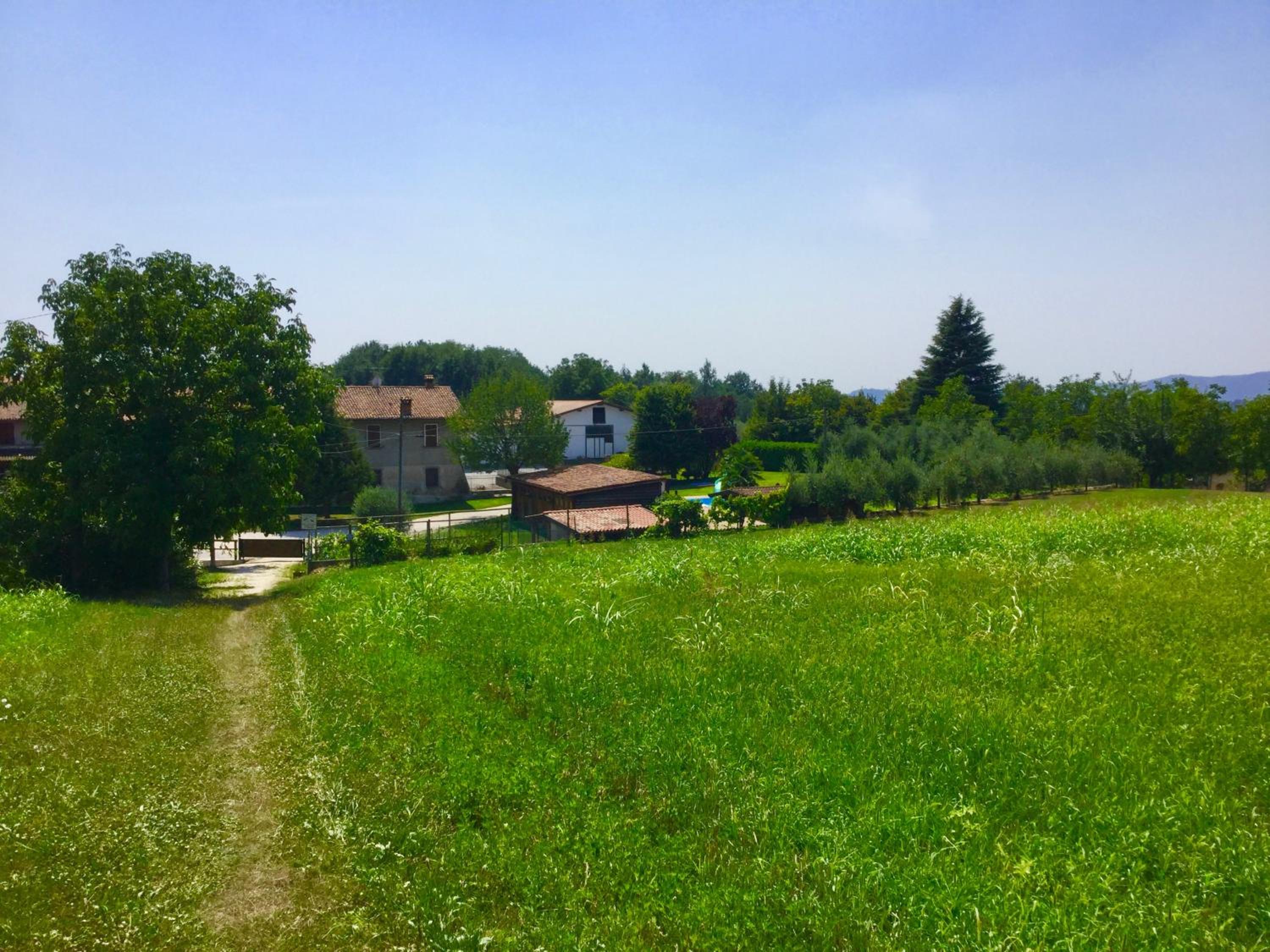 Photo 25