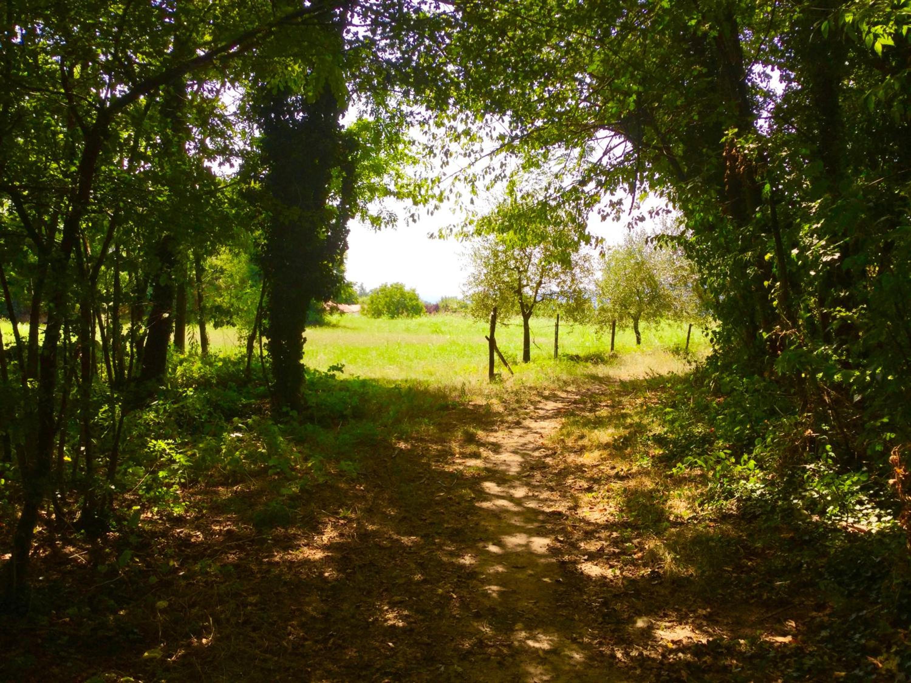 Photo 26