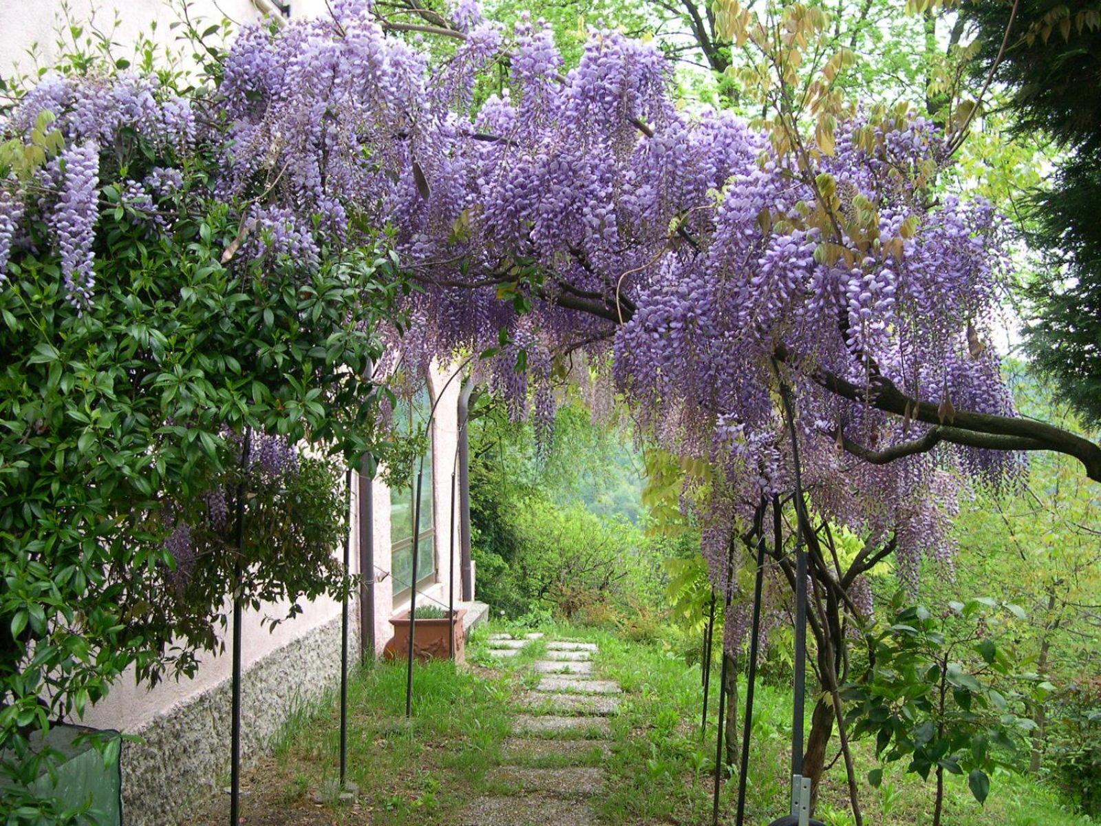 B&B Four Winds