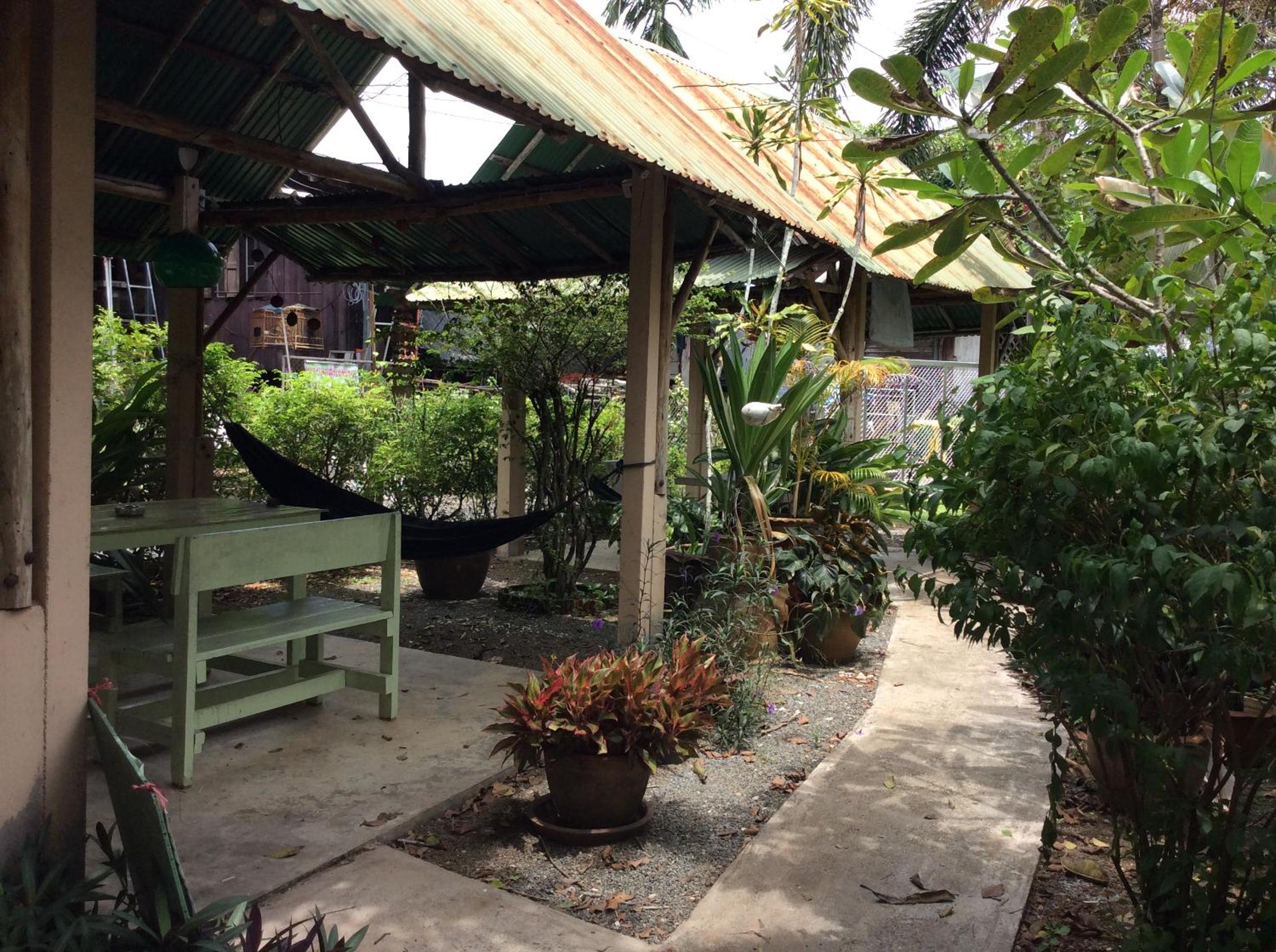 Photo 7