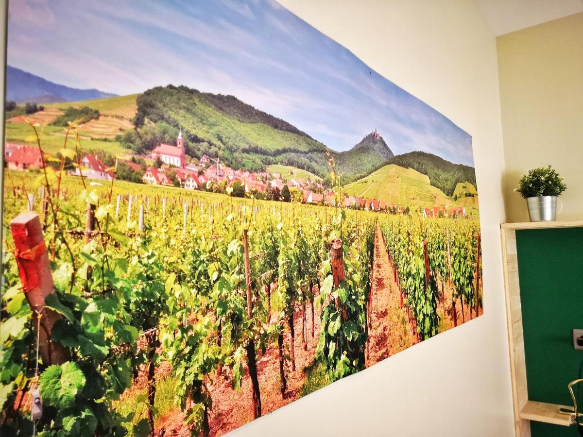 Splendide Studio Centre Colmar