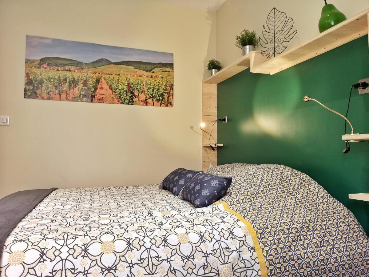 Splendide Studio Centre Colmar