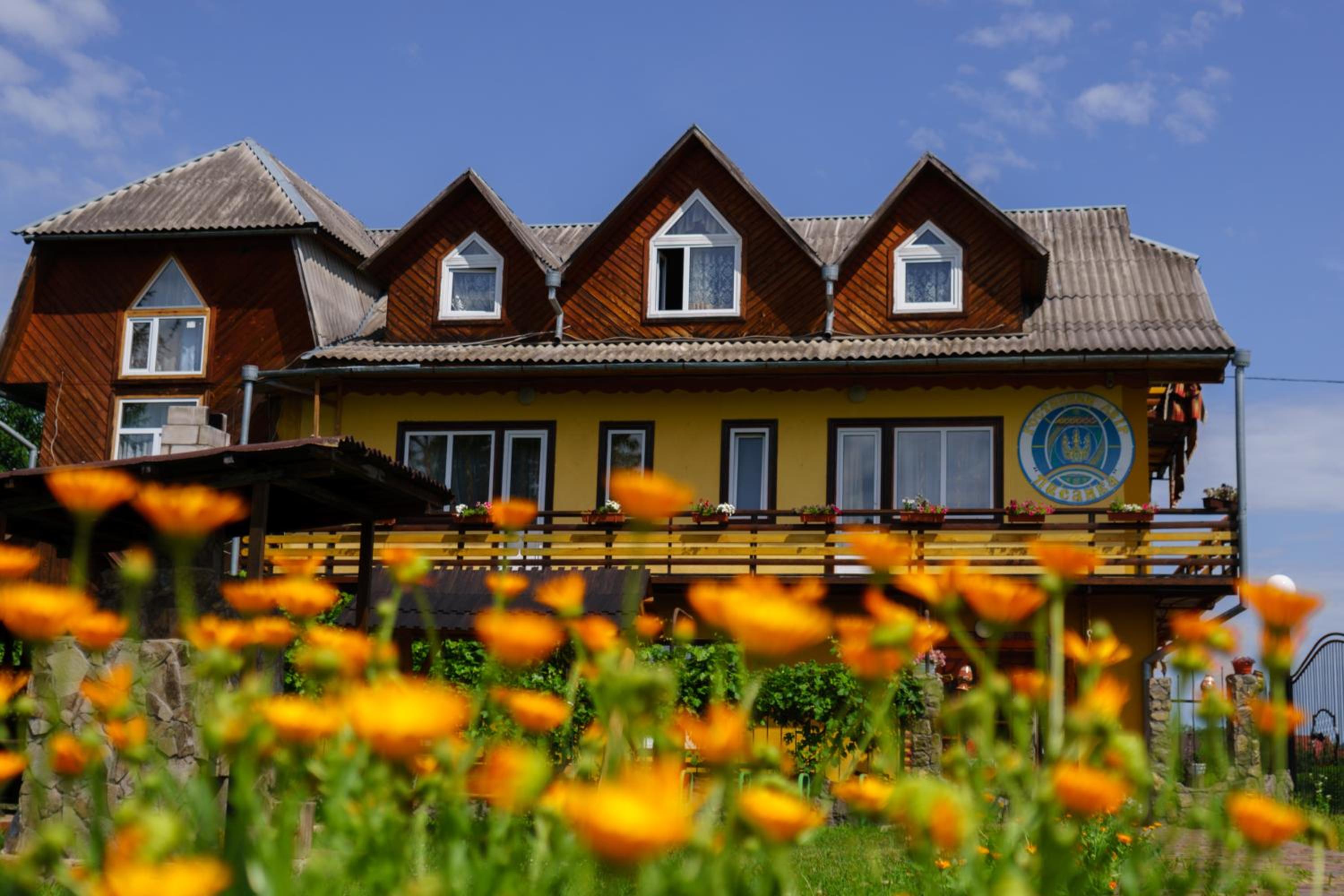 Guest house Dvir Pysanka, photo 56