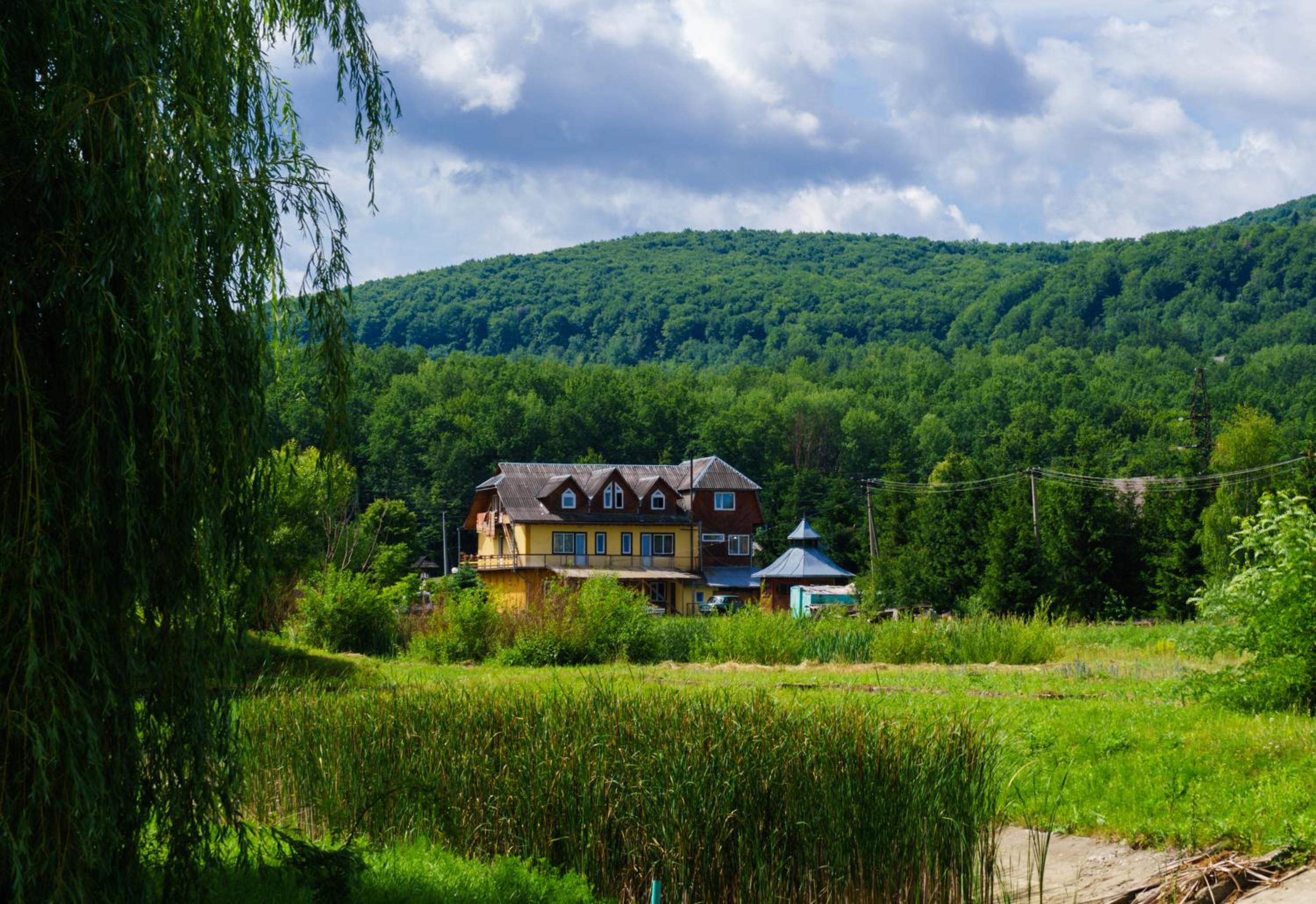 Guest house Dvir Pysanka, photo 80