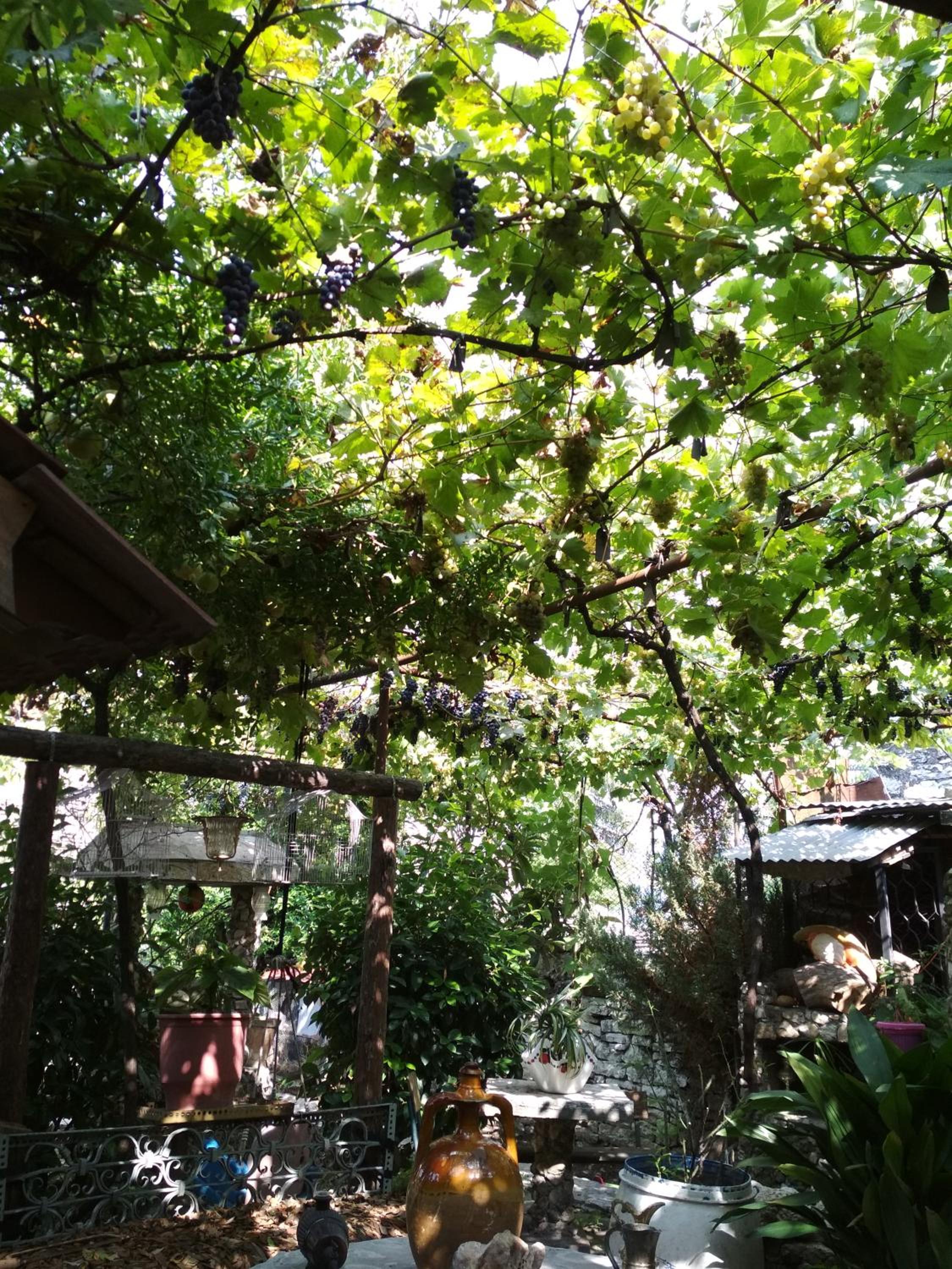 Karafil Guesthouse