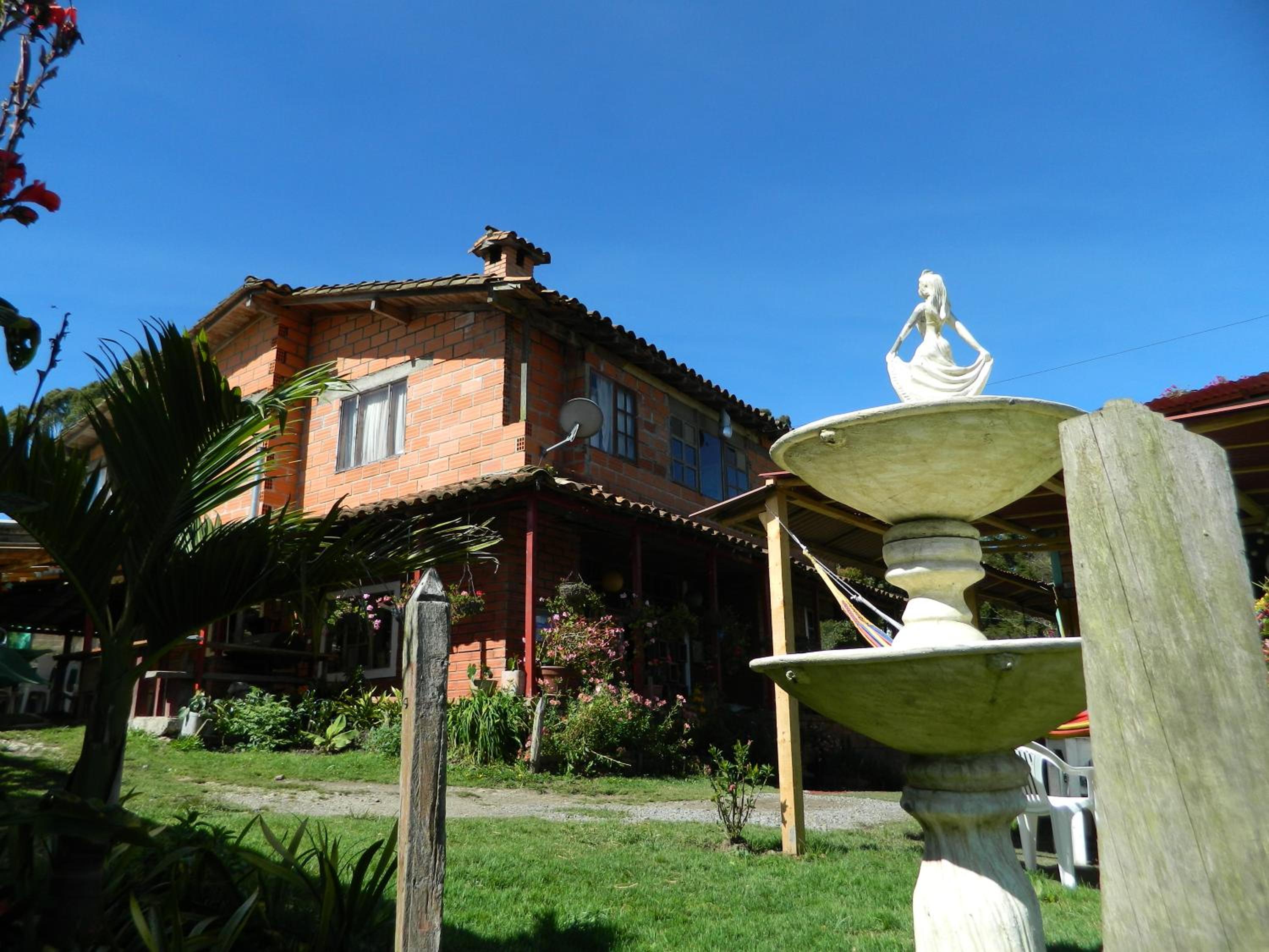 Photo 7