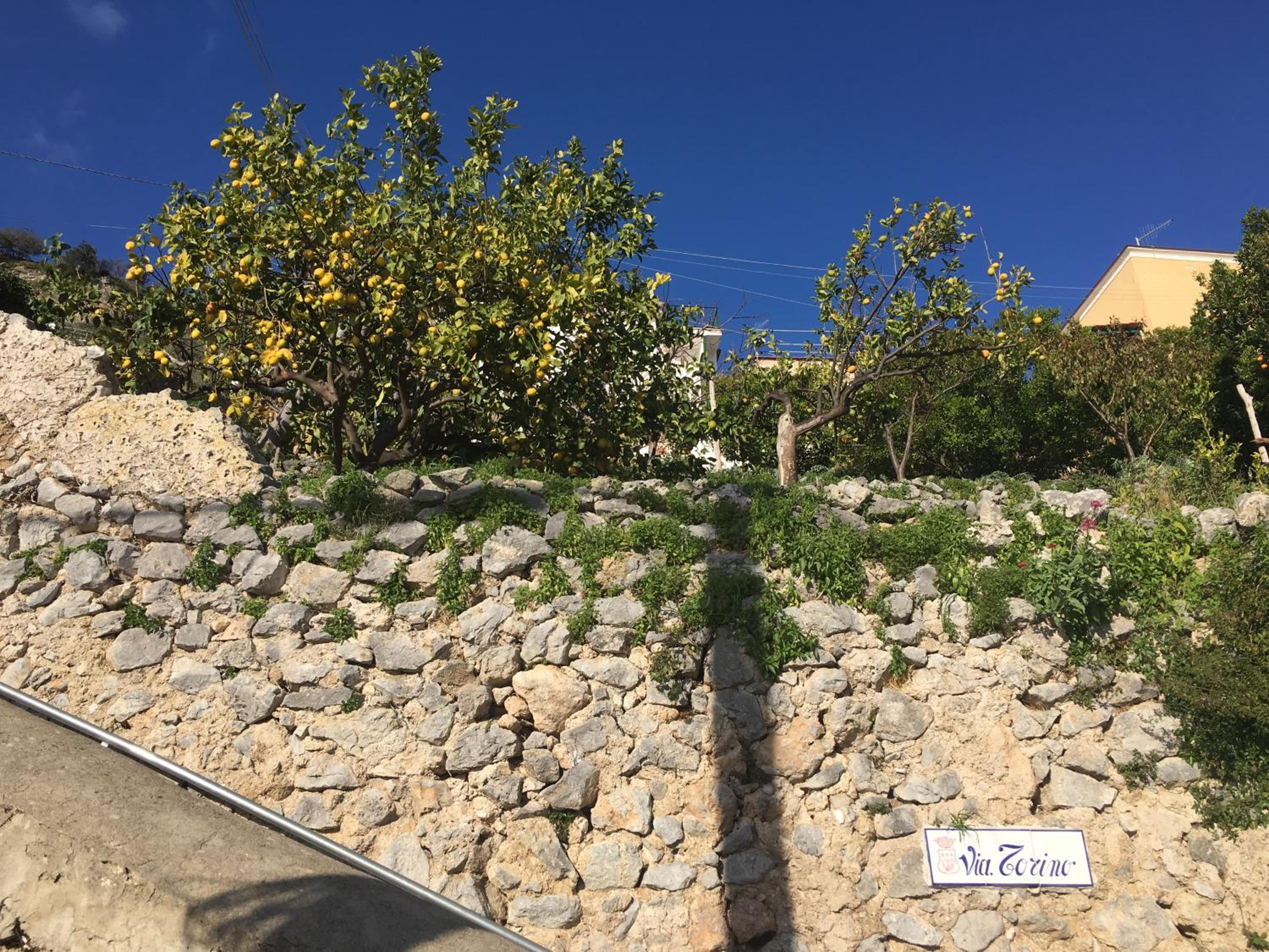 Photo 27