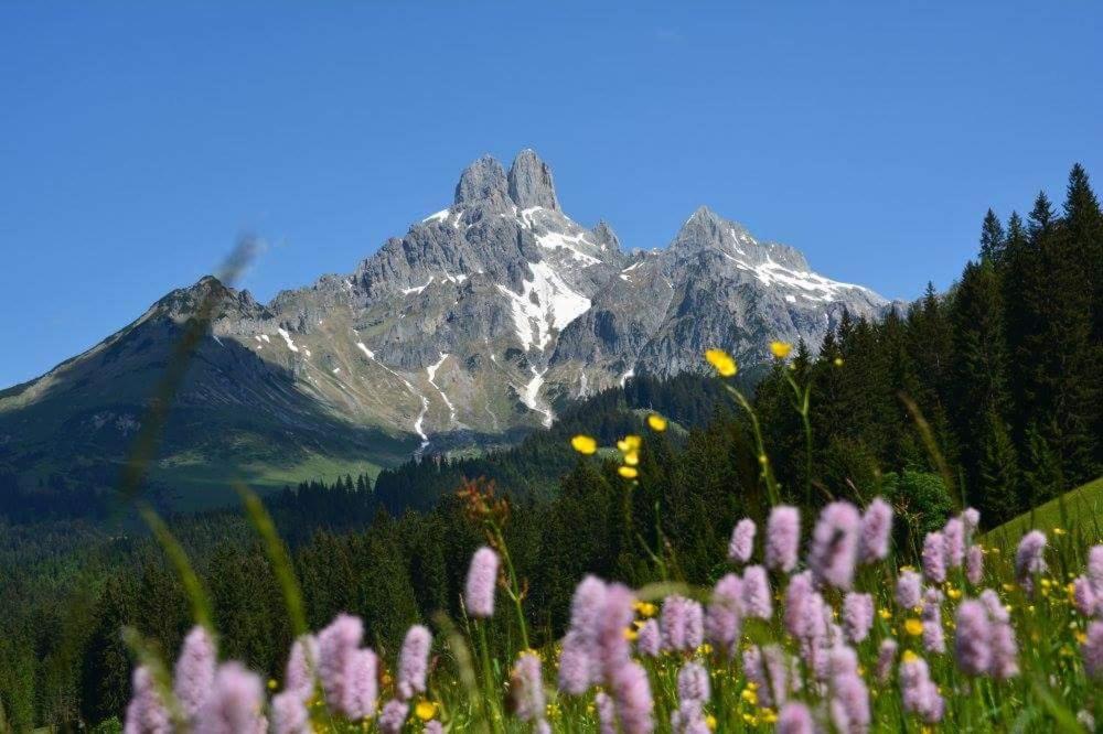 Photo 44