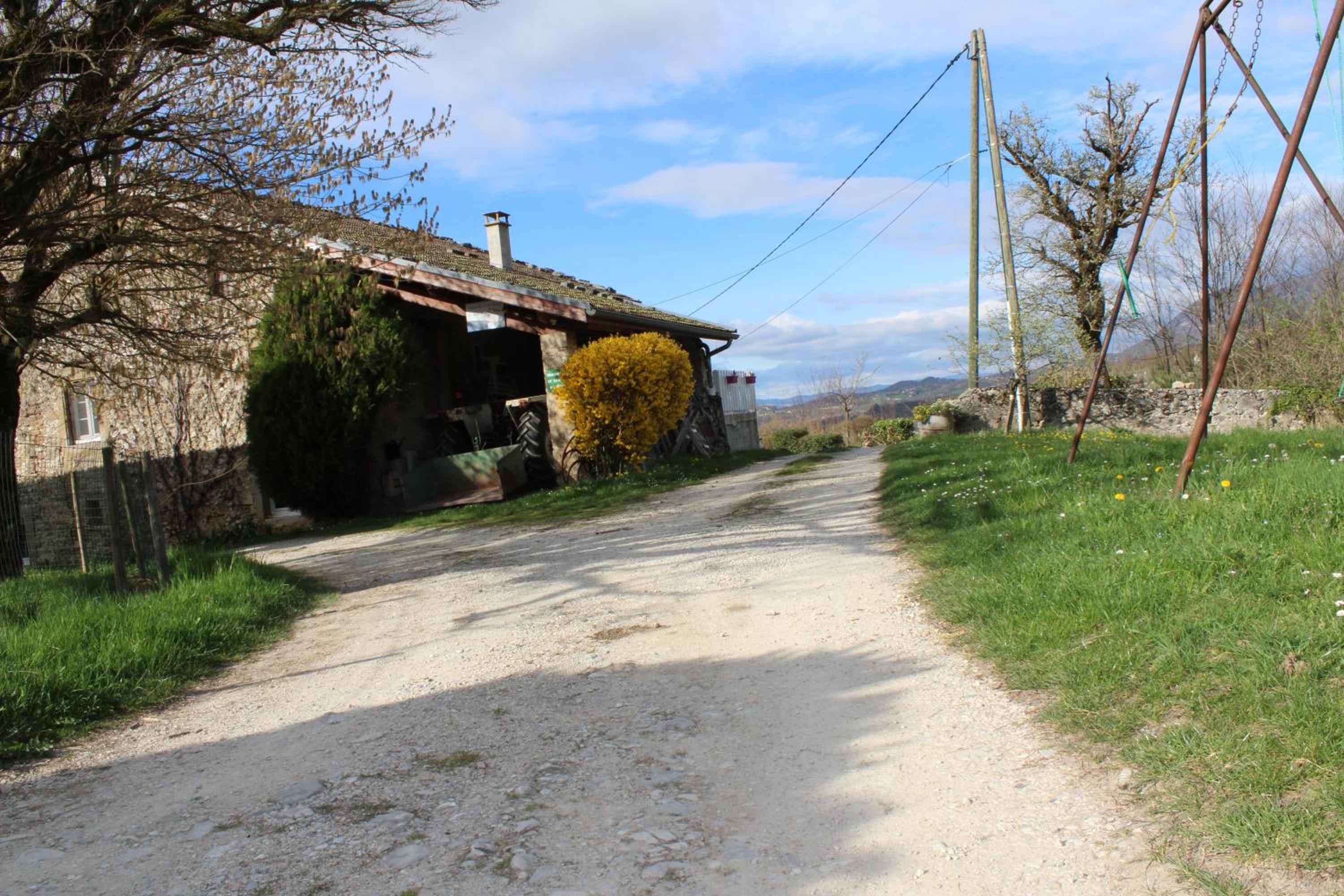 Photo 42