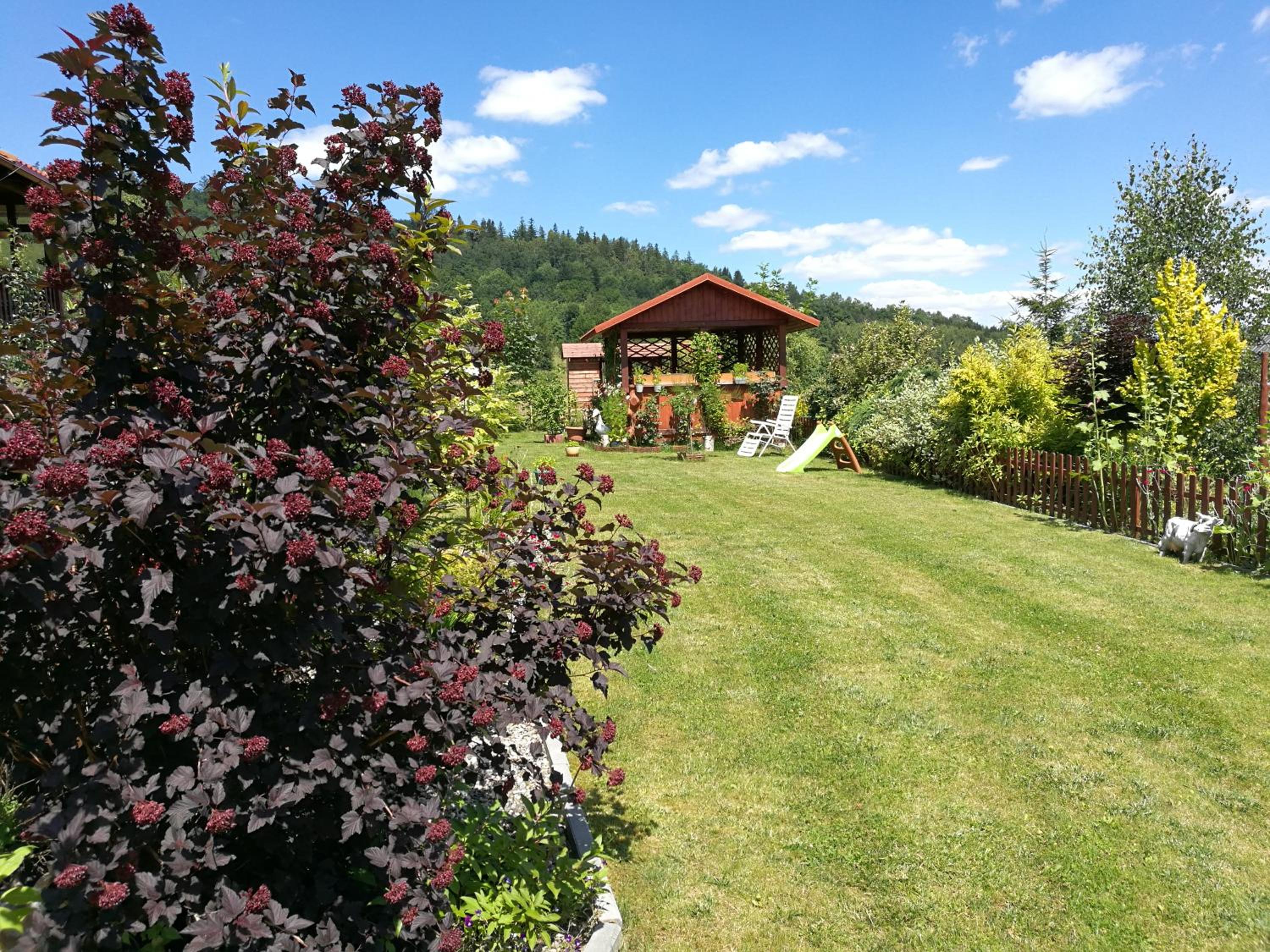 Photo 11