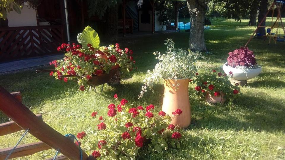 Photo 26
