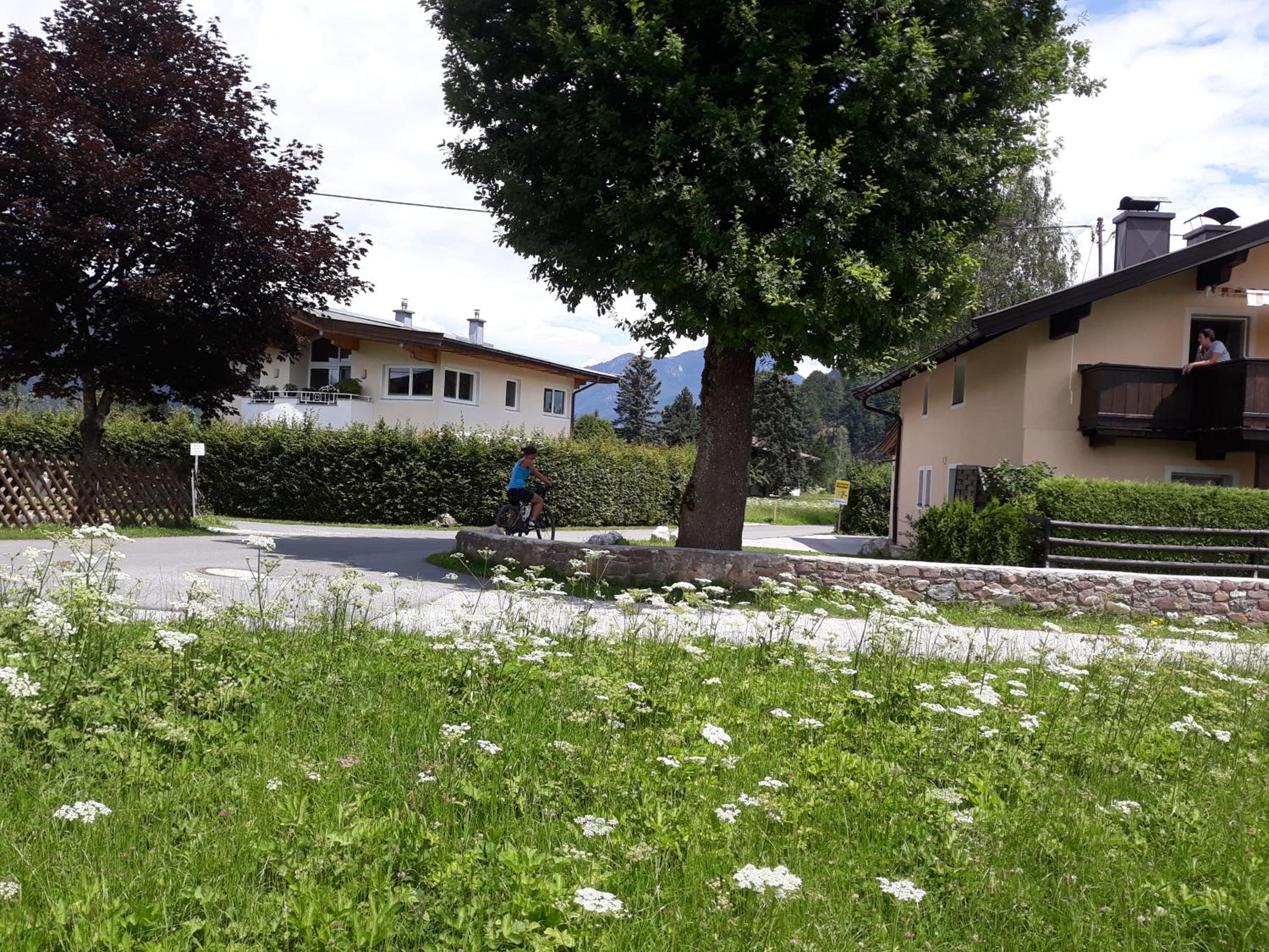 Photo 31