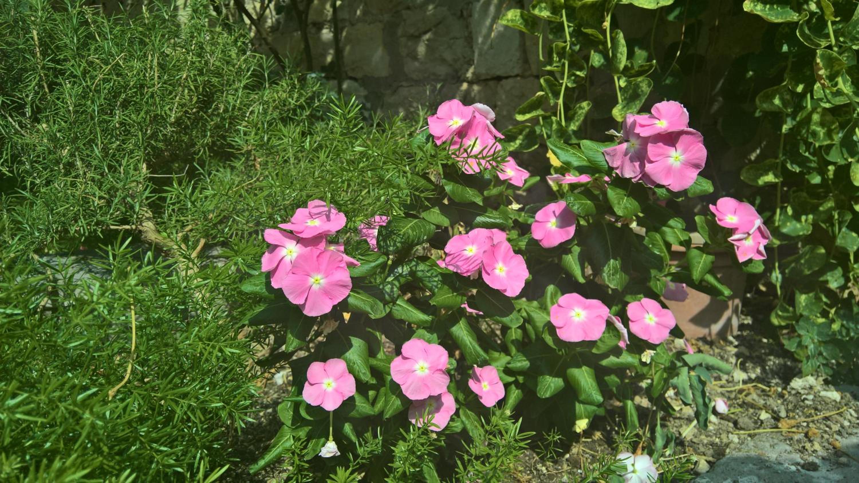 Photo 53