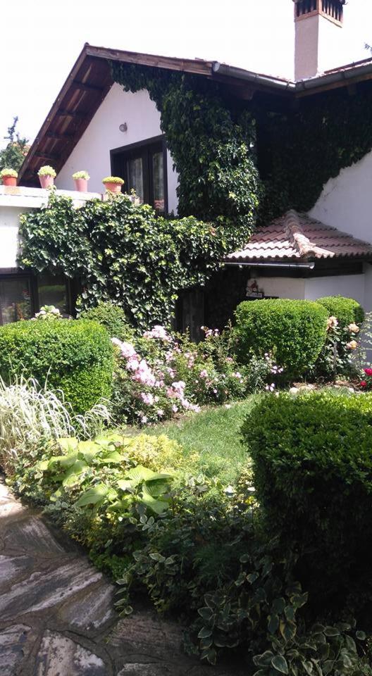 Matsureva House - Pri Ivan