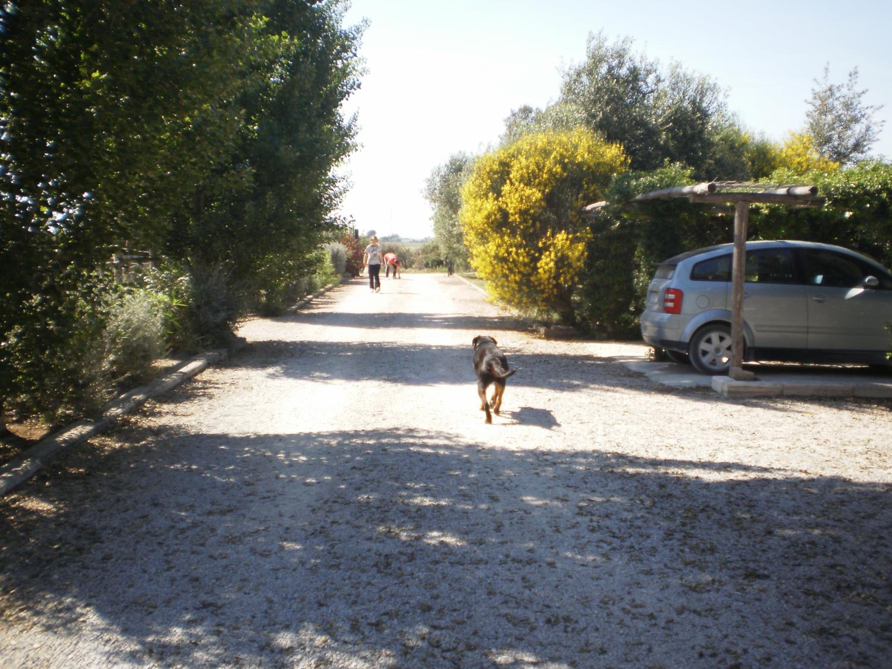 Photo 29