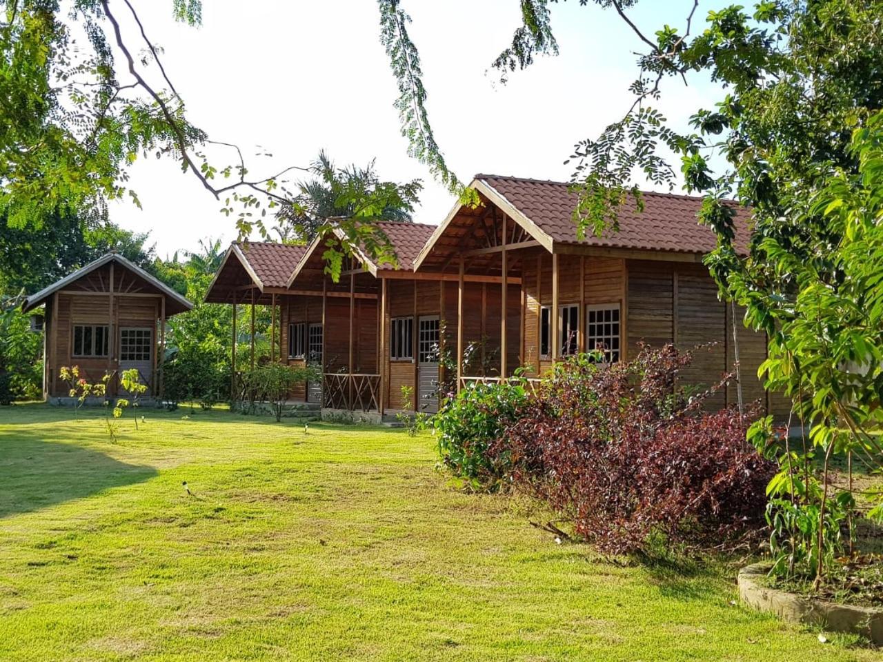 Alta Vista Amazon Lodge