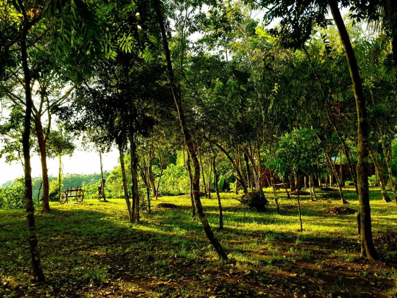 Alta Vista Amazon Lodge