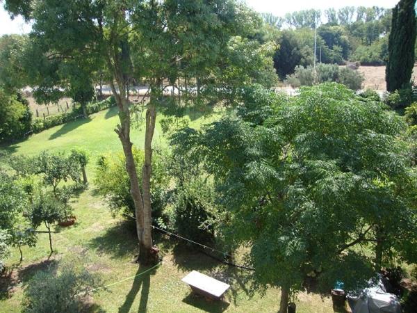 Photo 52